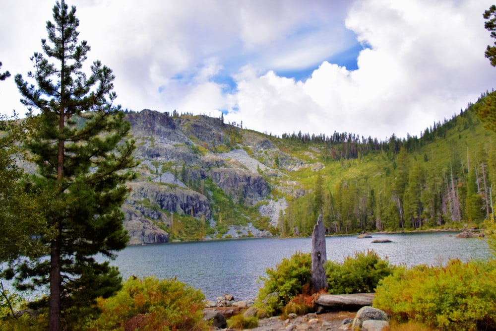 a lake surrounded by trees and mountains