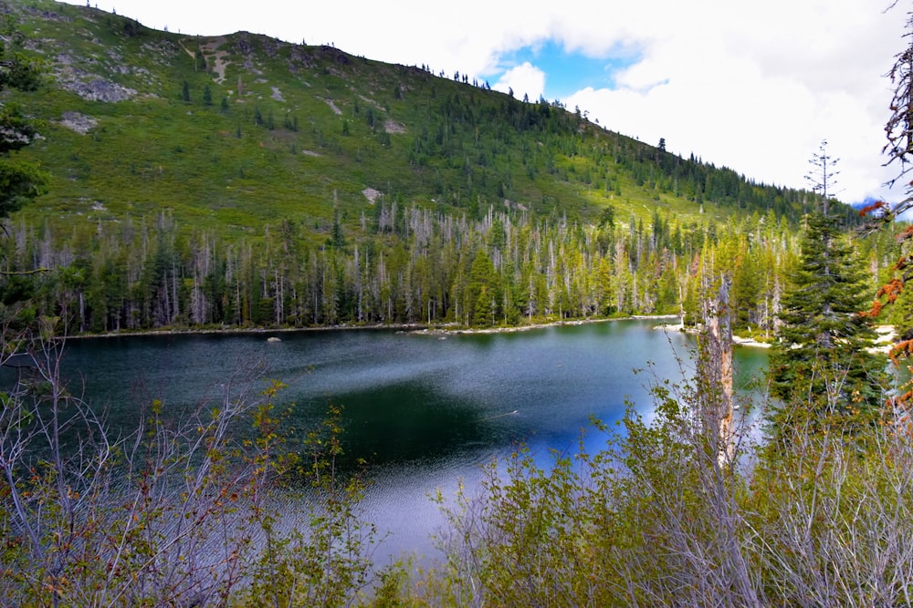 a lake surrounded by trees and hills