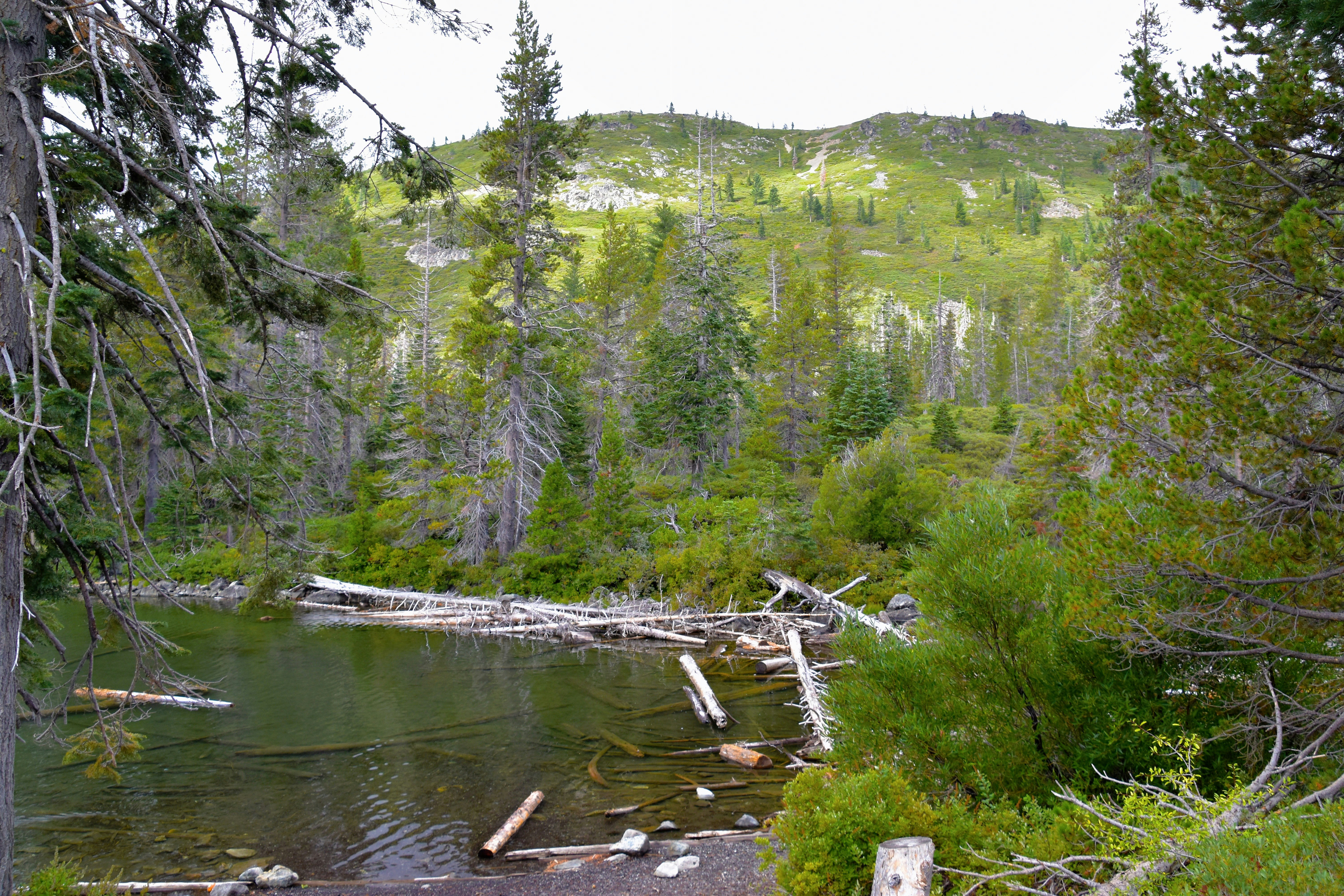 A river with trees and rocks photo – Free Castle lake Image on Unsplash