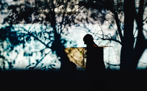 A haunting image of a shadow on a cracked wall, evoking suspense and mystery.