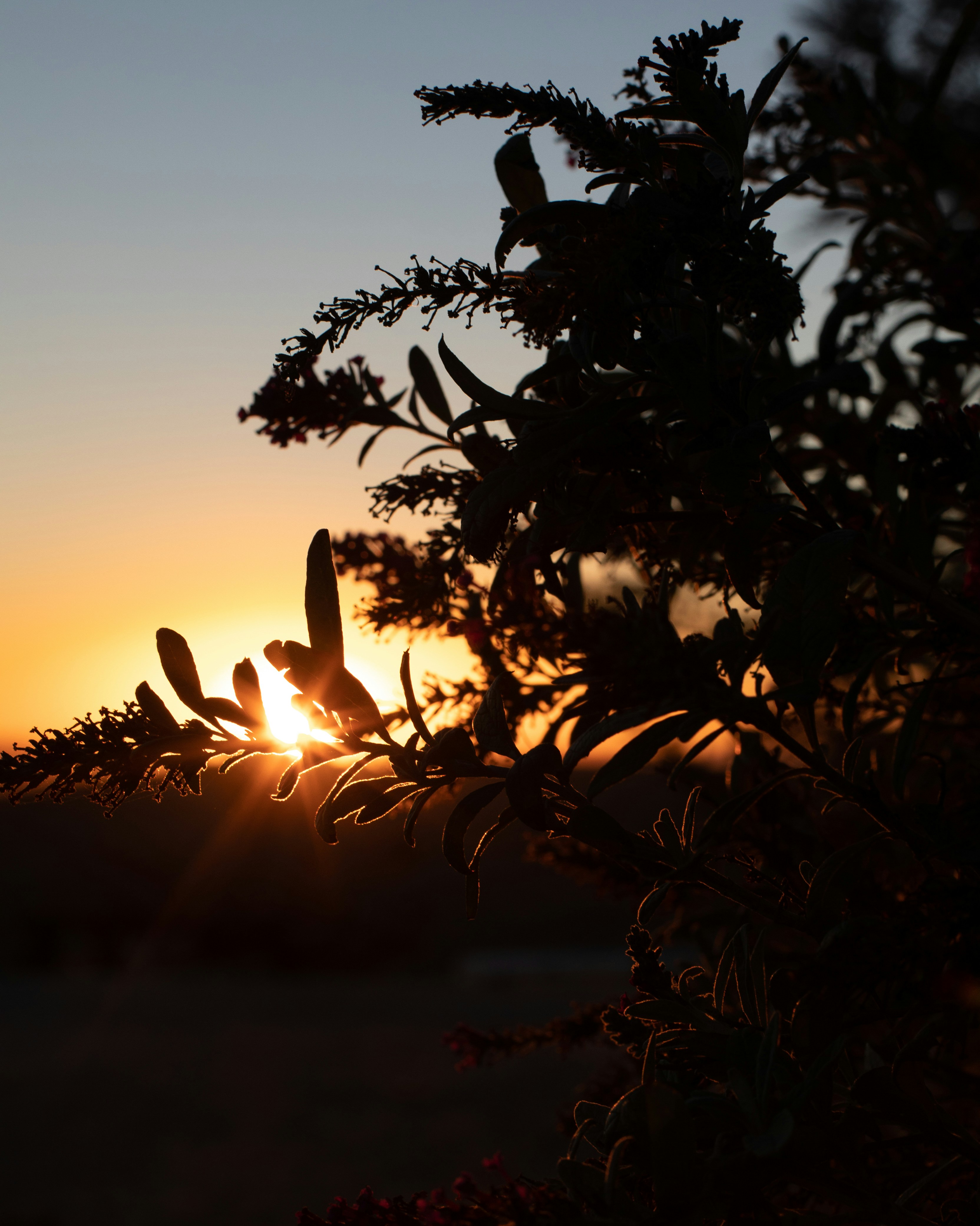 Photo by sixteenmilesout