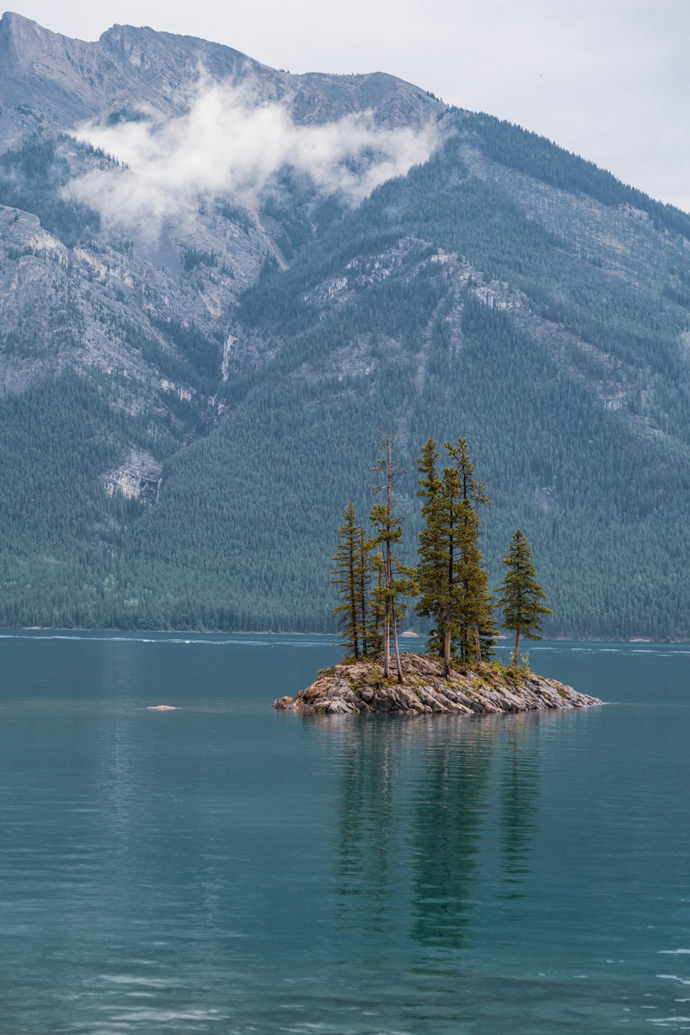 a group of trees on an island in front of a mountain