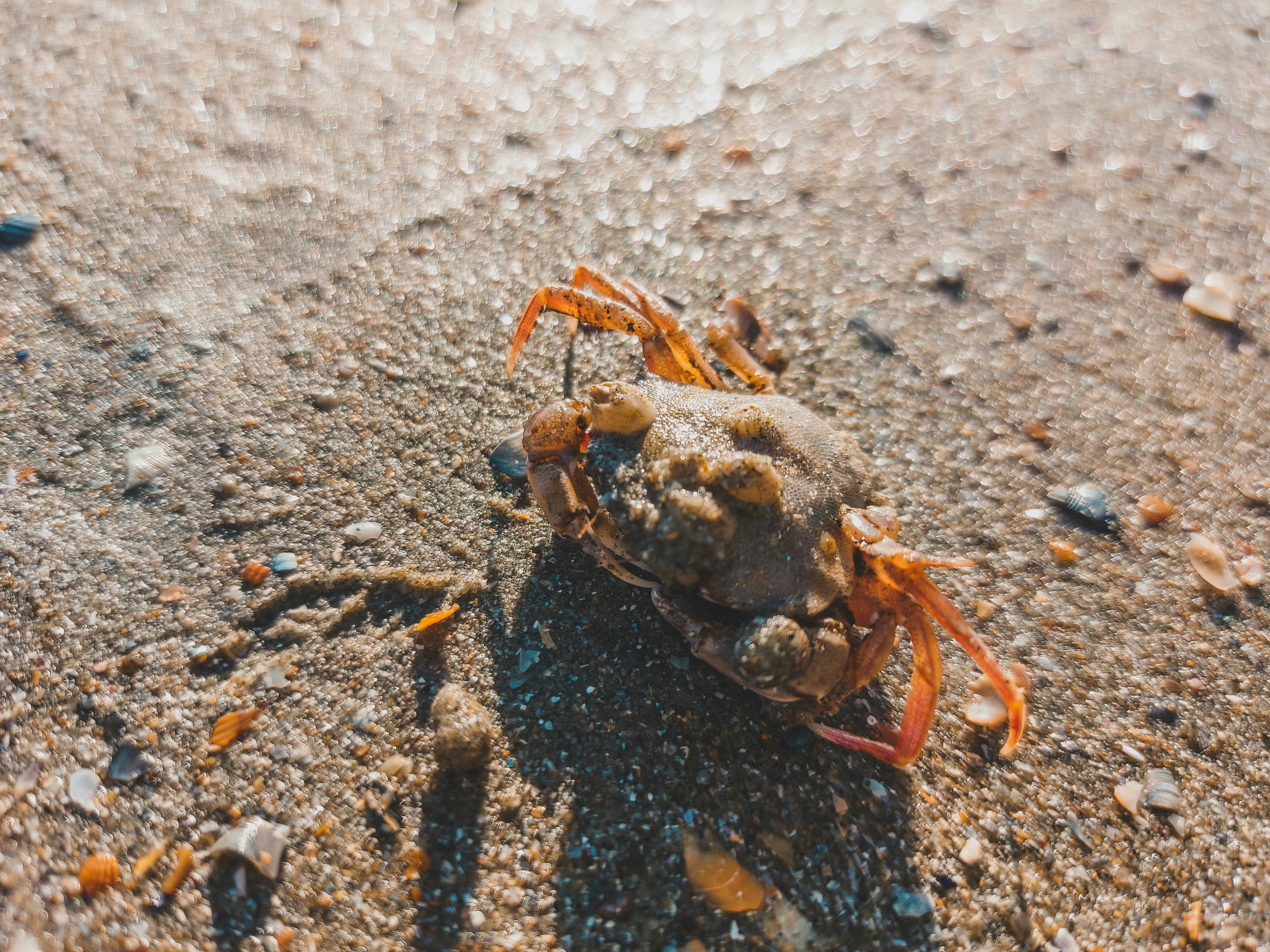 Photo by czapp_arpad