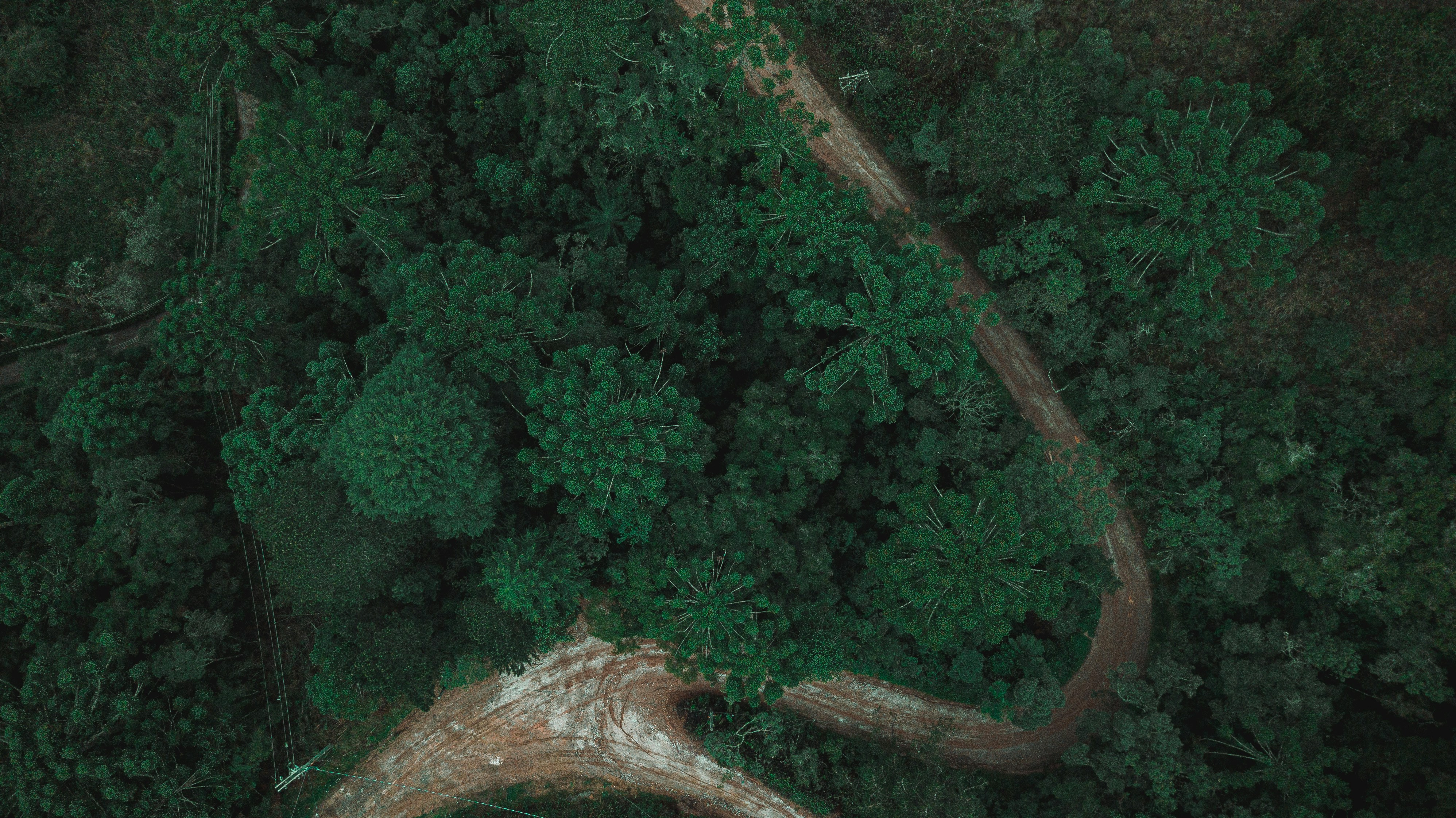 Photo by gabrieluizramos