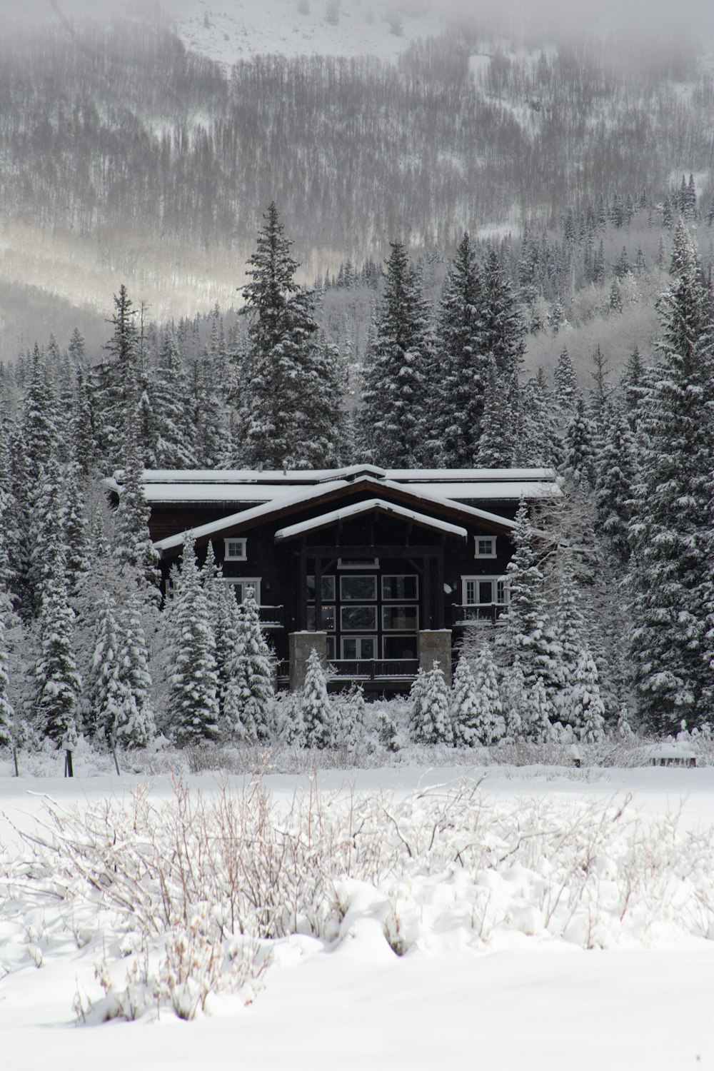 a cabin in the snow