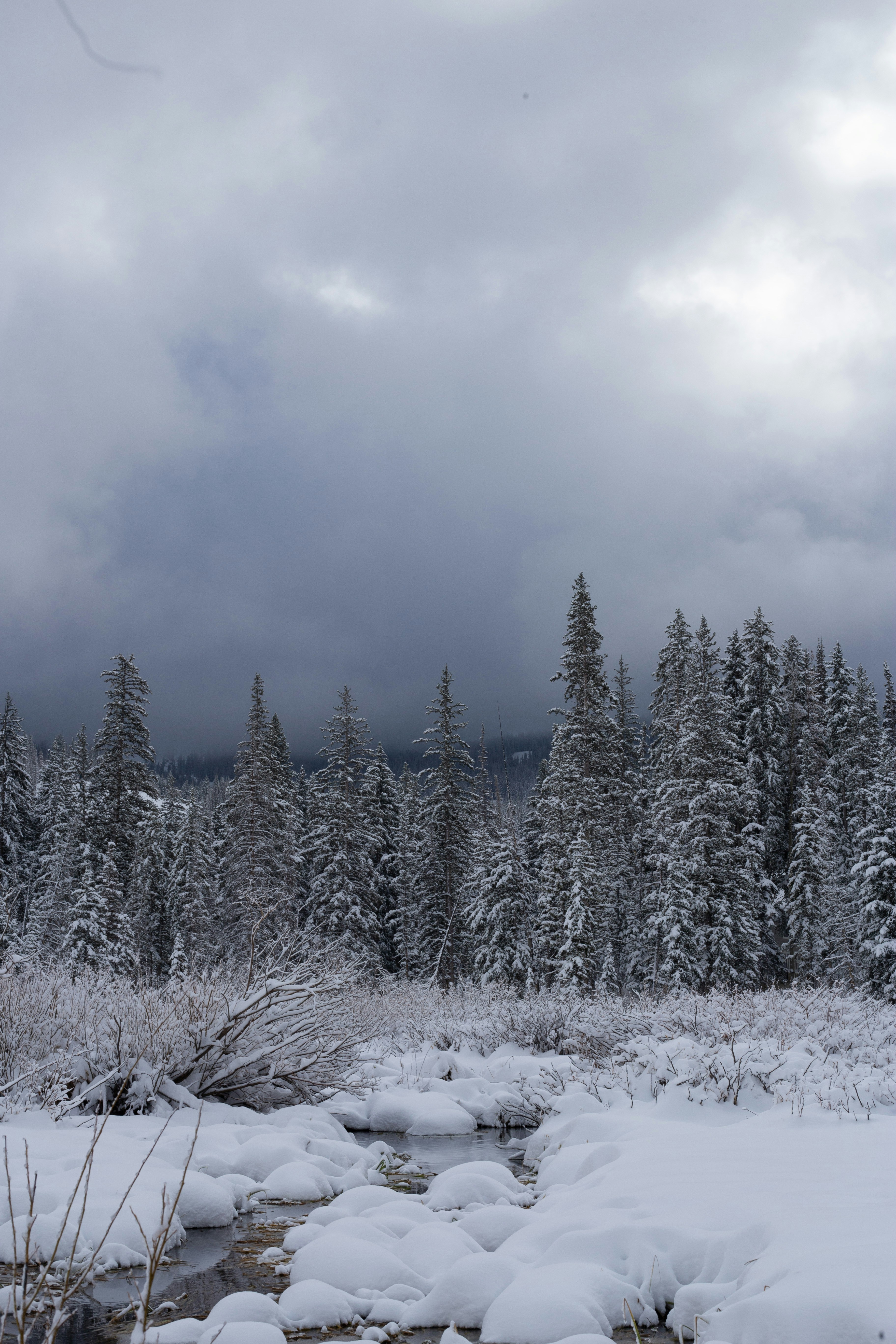 Photo by brentdalling