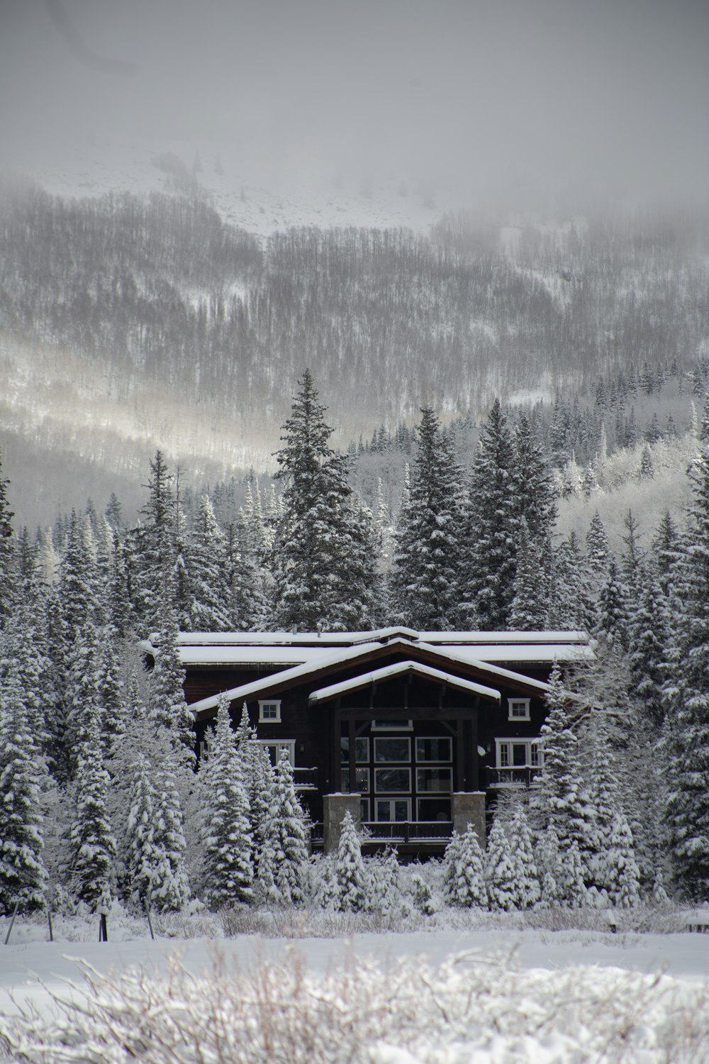 a cabin in a snowy forest