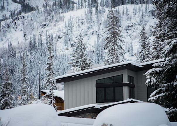 A modern house is situated in a snow-covered mountainous area surrounded by tall pine trees. The house has large, dark-framed windows and a sleek, contemporary design. Snow blankets the roof and the surrounding landscape, creating a serene winter scene.
