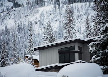 A modern house is situated in a snow-covered mountainous area surrounded by tall pine trees. The house has large, dark-framed windows and a sleek, contemporary design. Snow blankets the roof and the surrounding landscape, creating a serene winter scene.