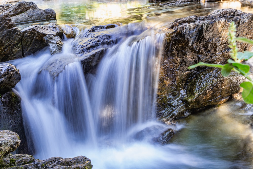 a waterfall with rocks and plants