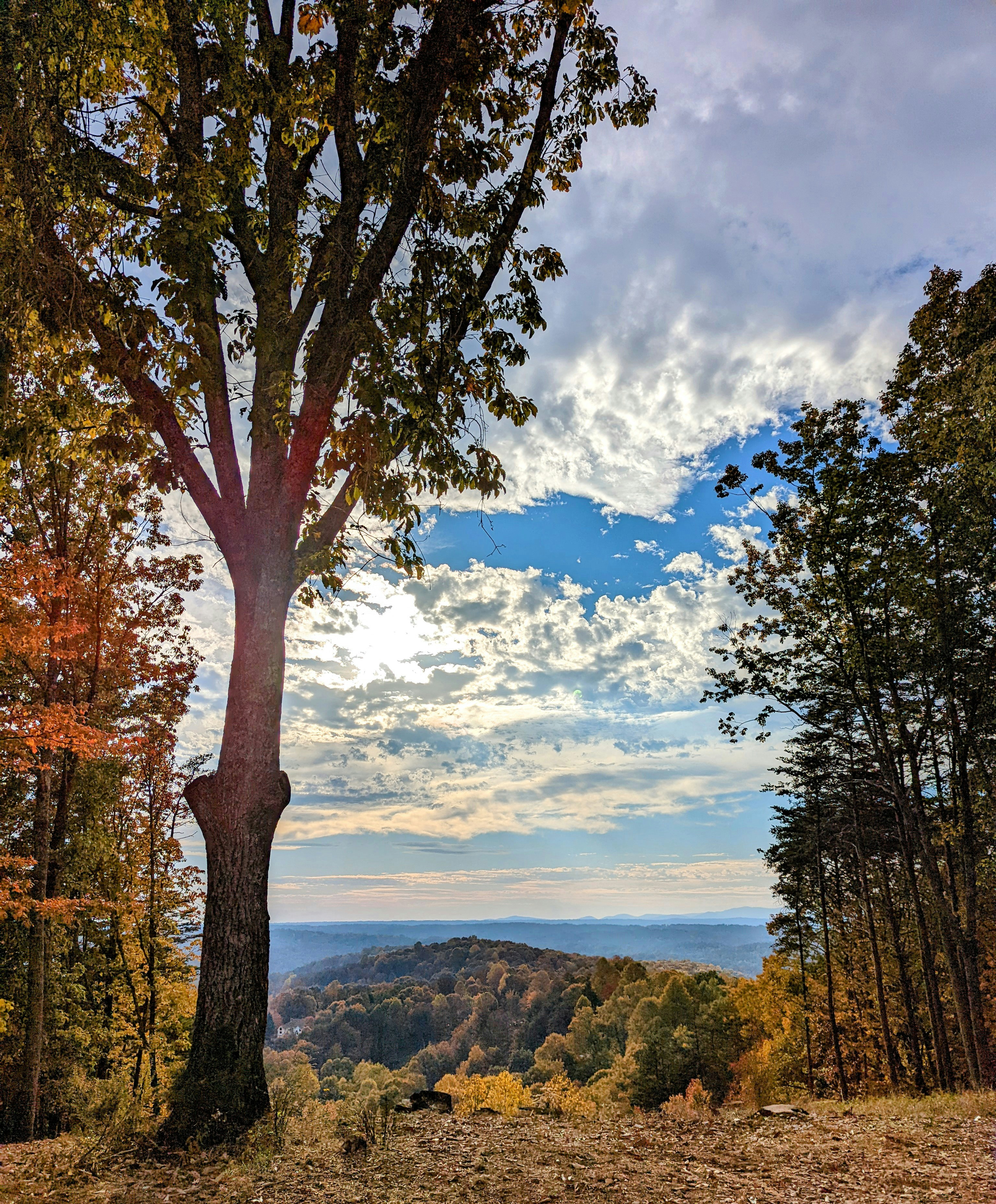 Bryant Home Renovations LLC's image