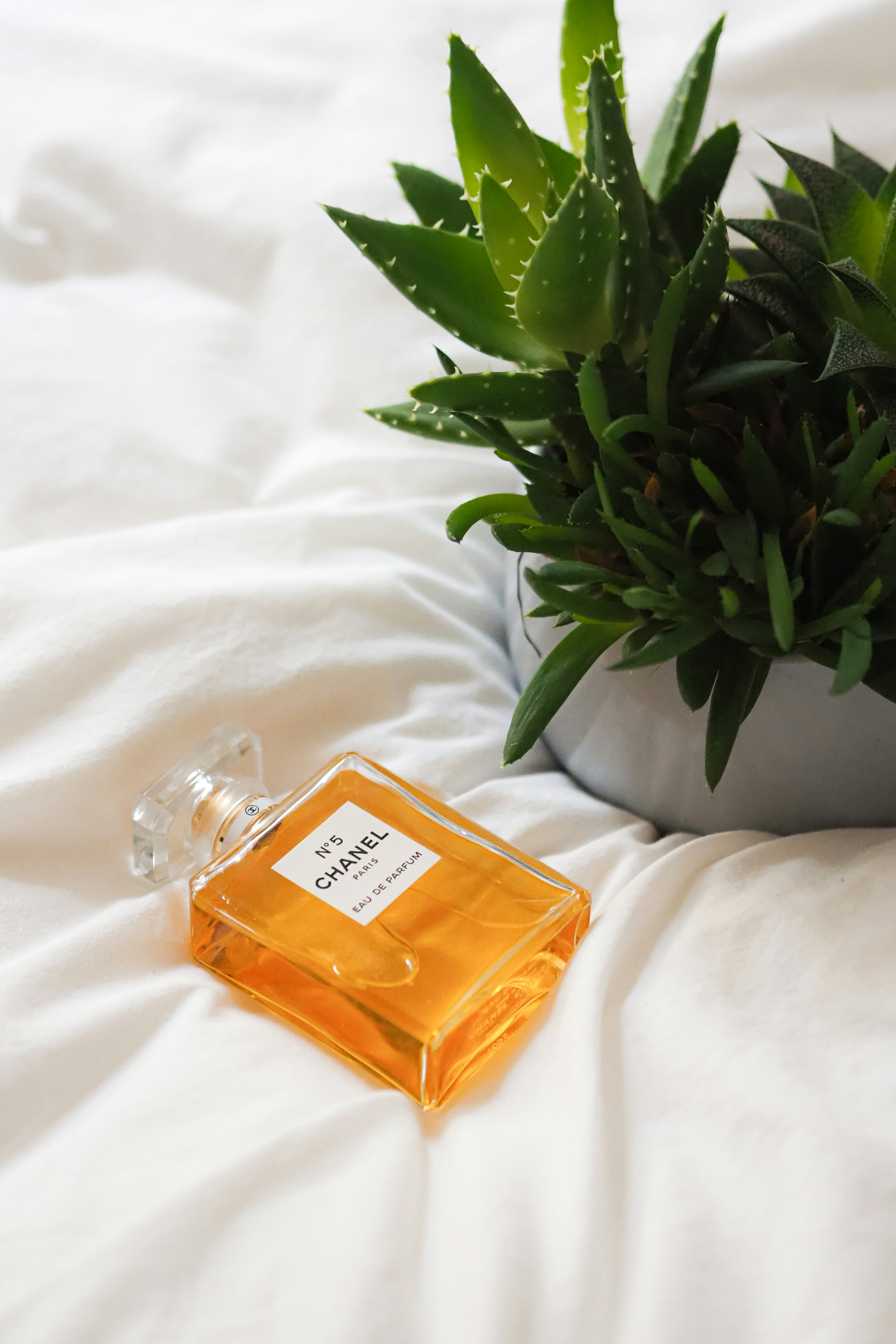 Photo by laurachouette