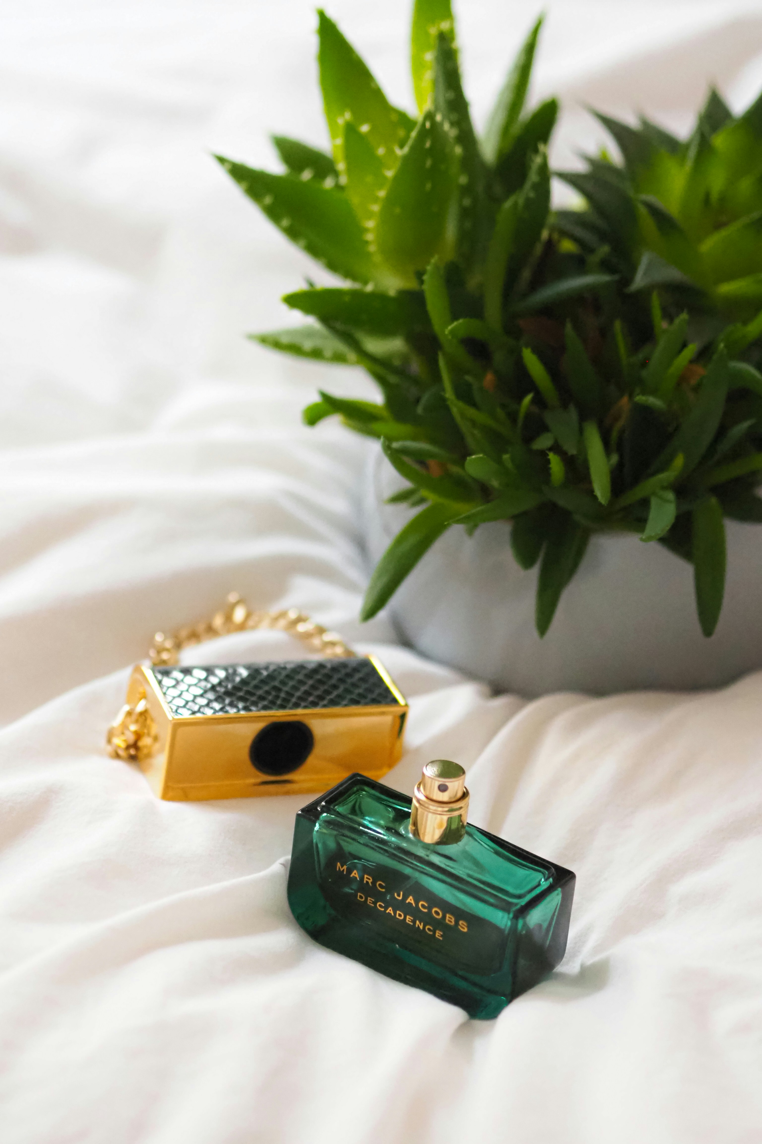 Photo by laurachouette