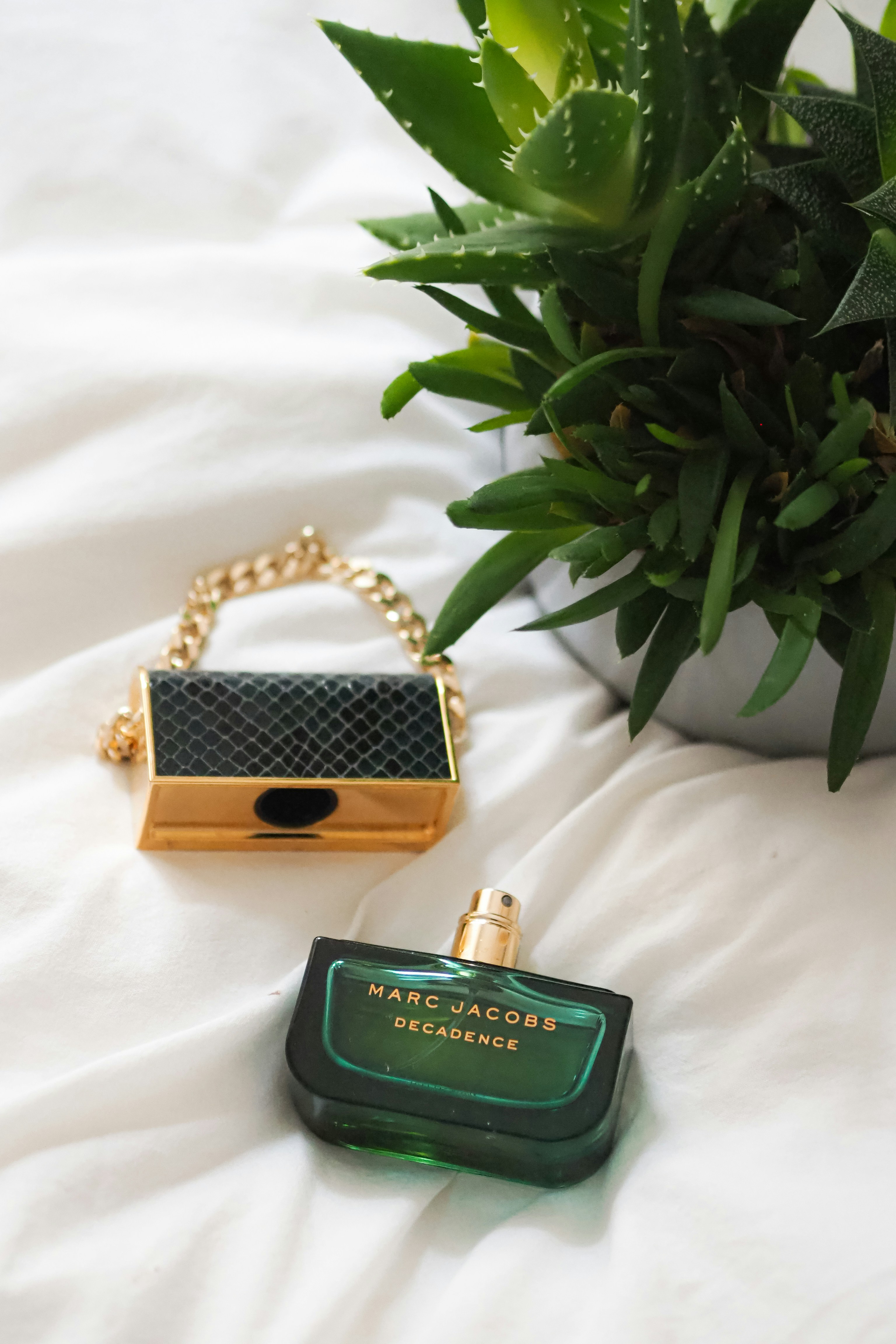 Photo by laurachouette