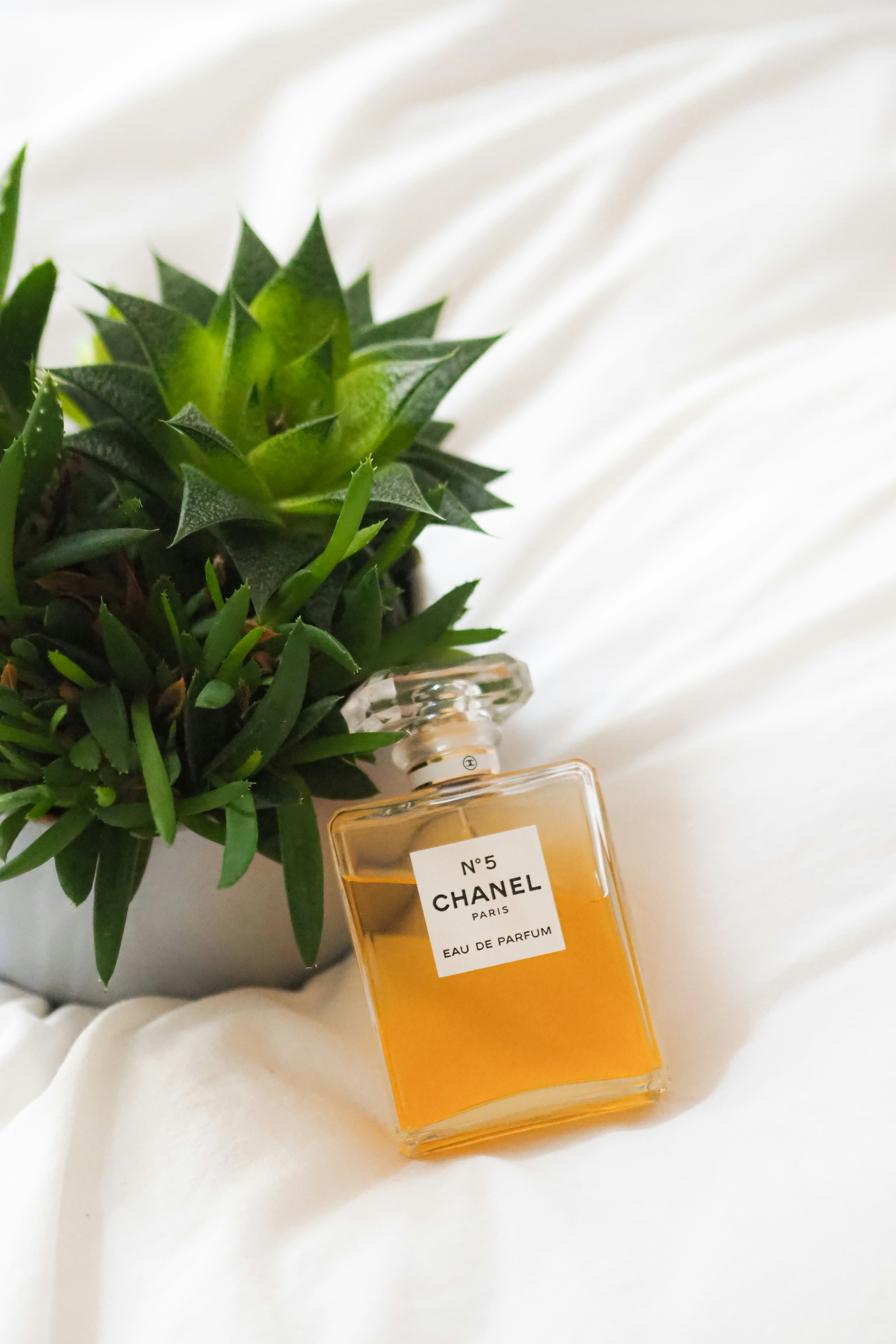 Photo by laurachouette