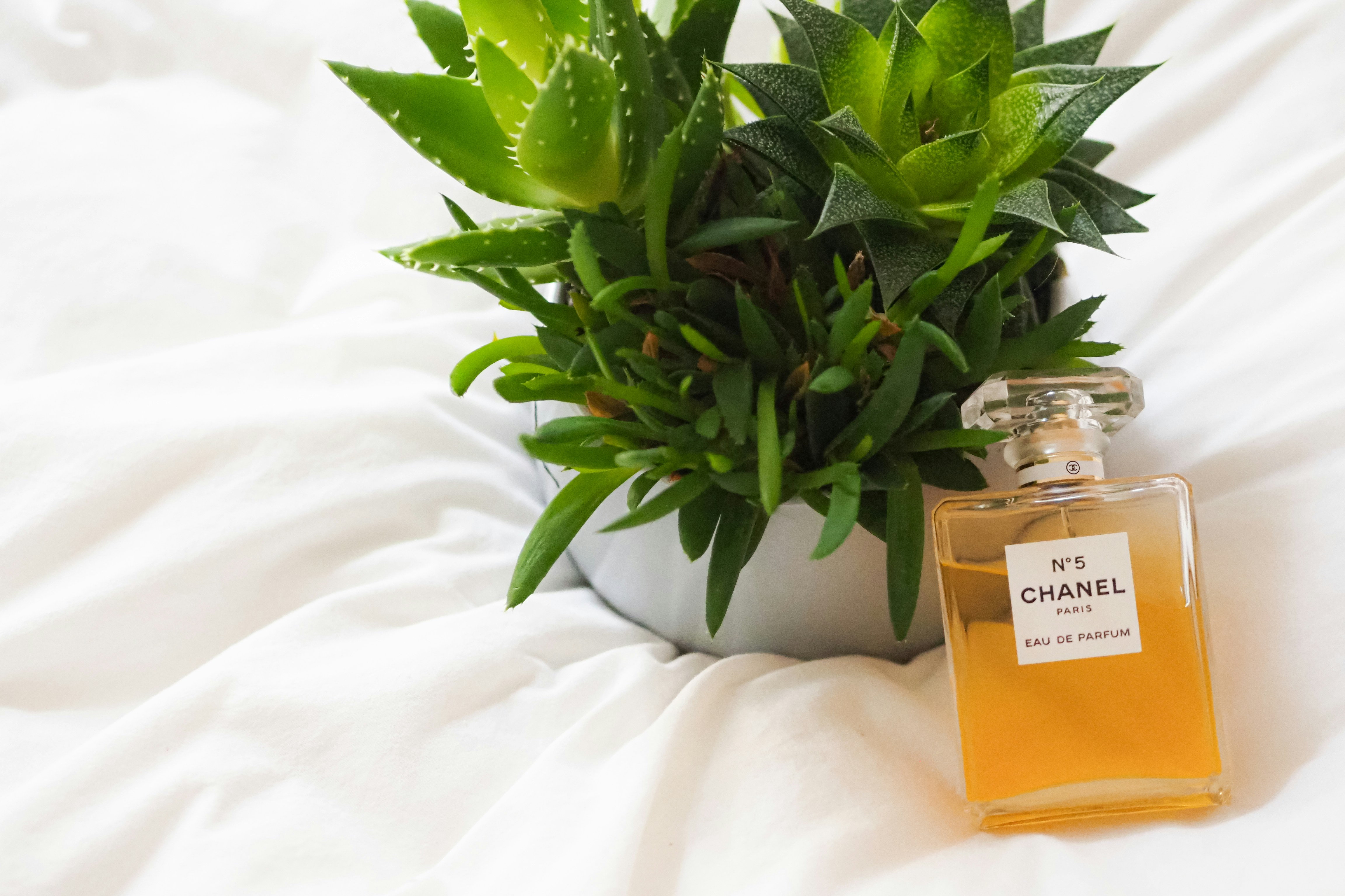 Photo by laurachouette