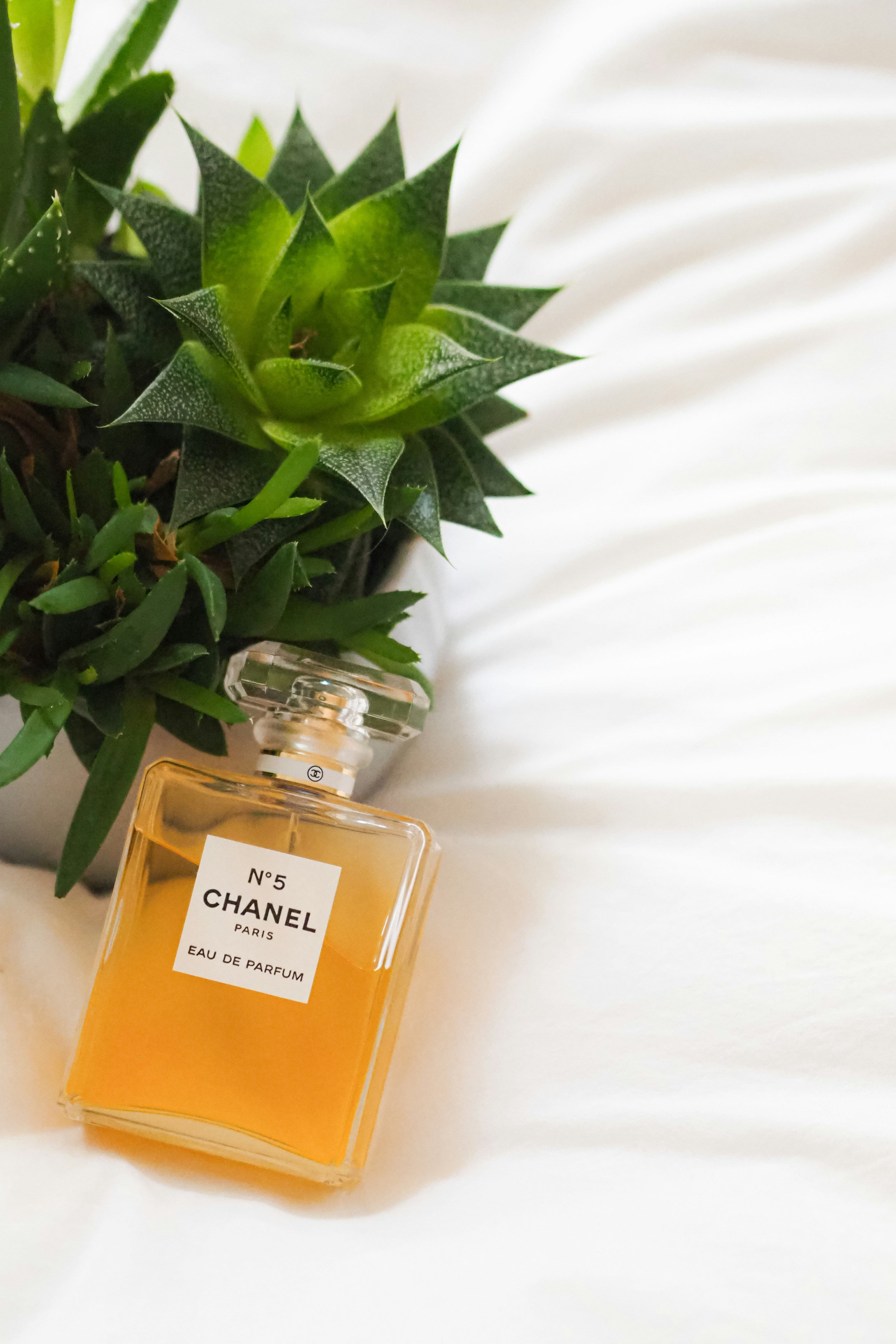 Photo by laurachouette