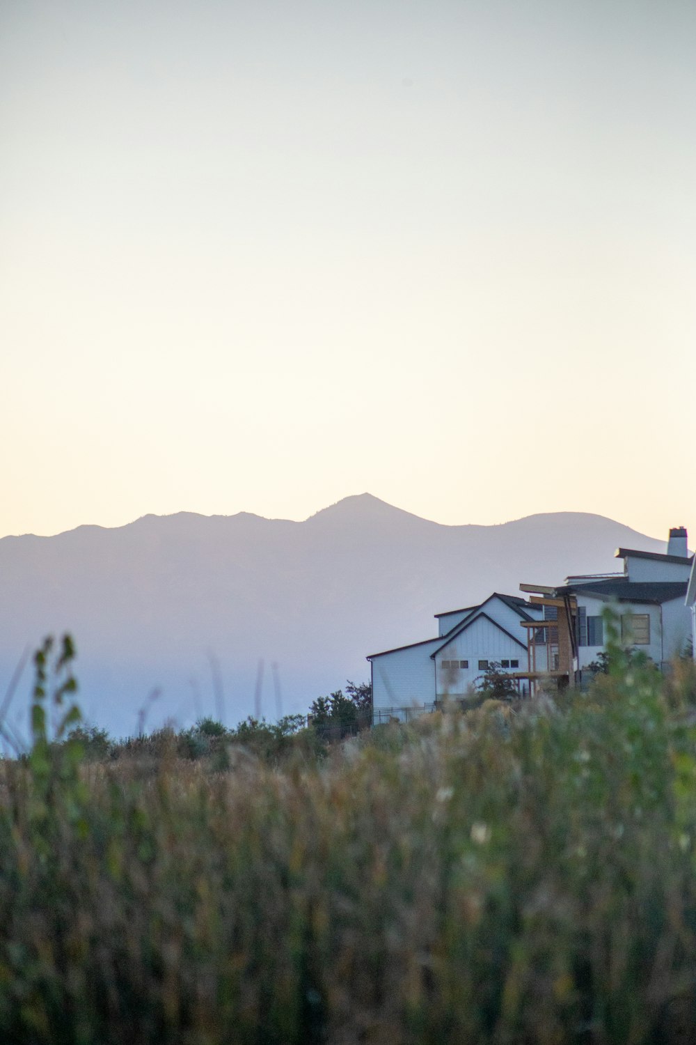 a house in a field