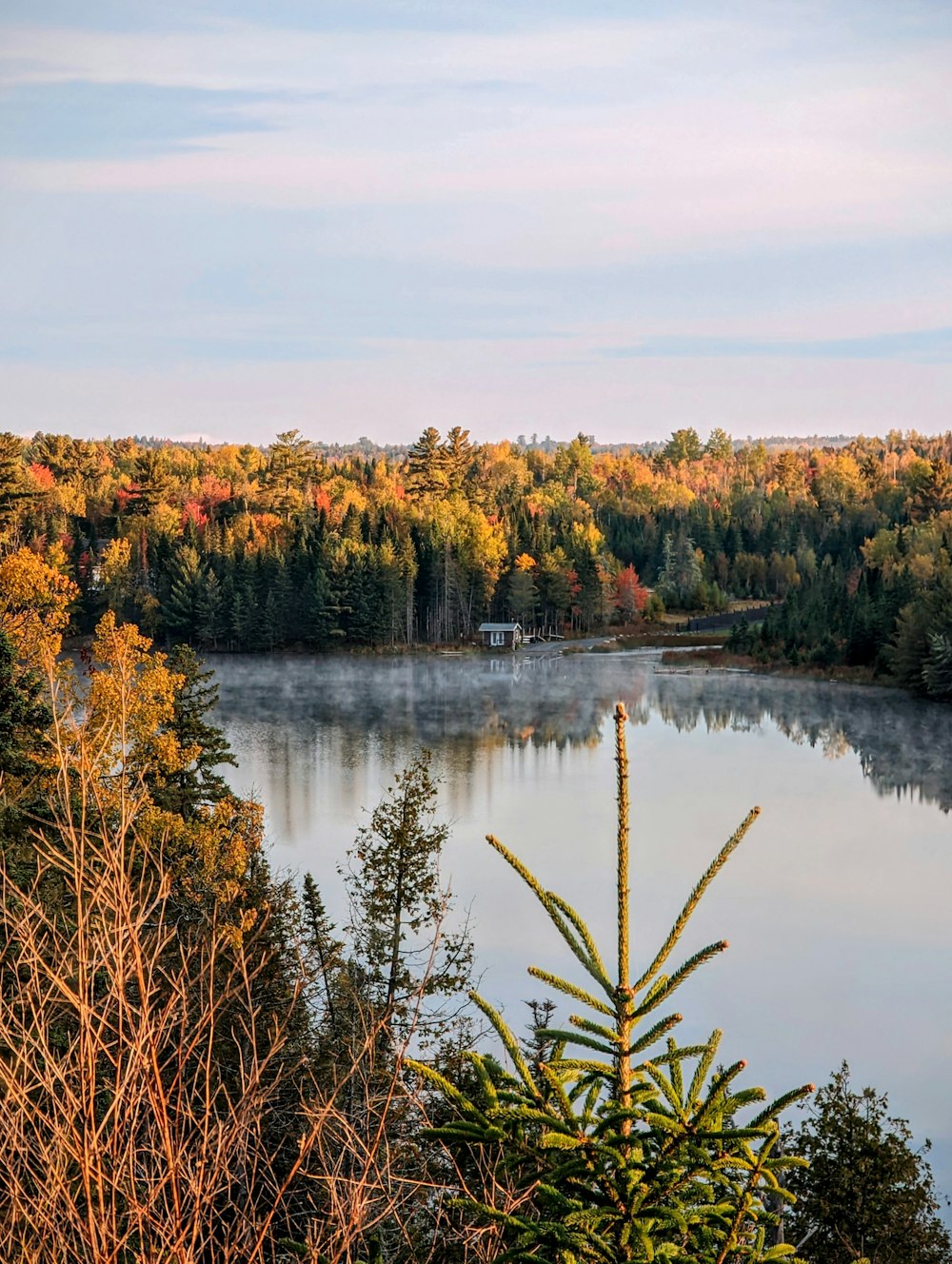 a lake surrounded by trees