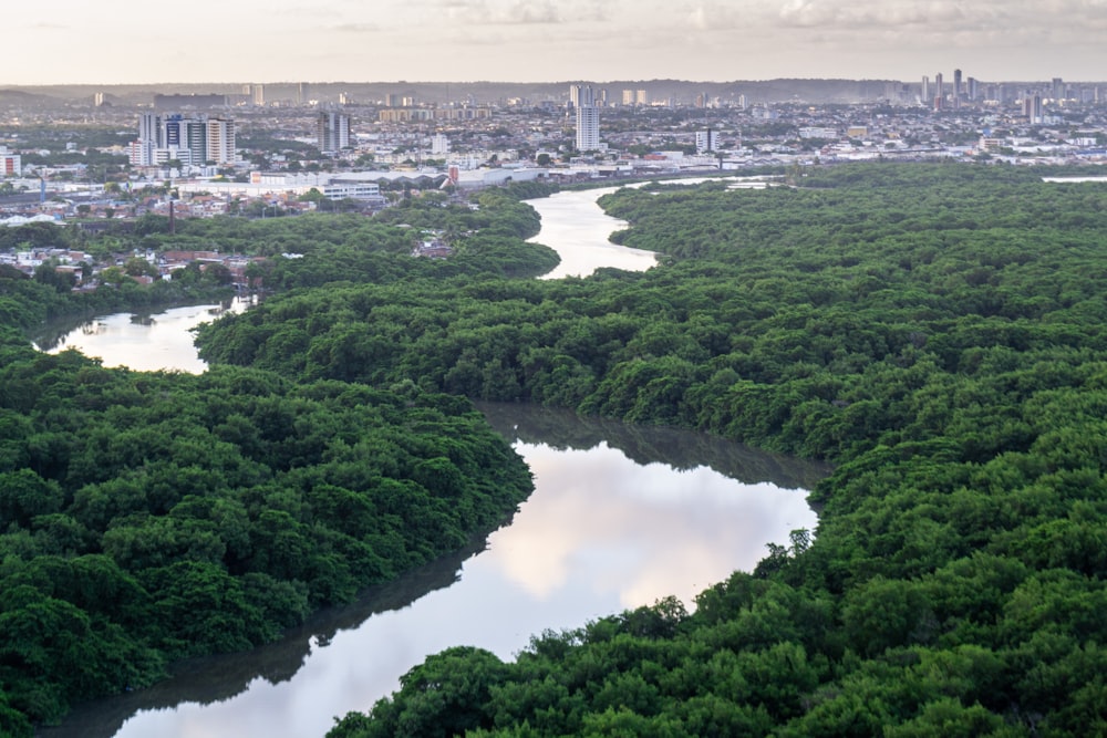 a river running through a city