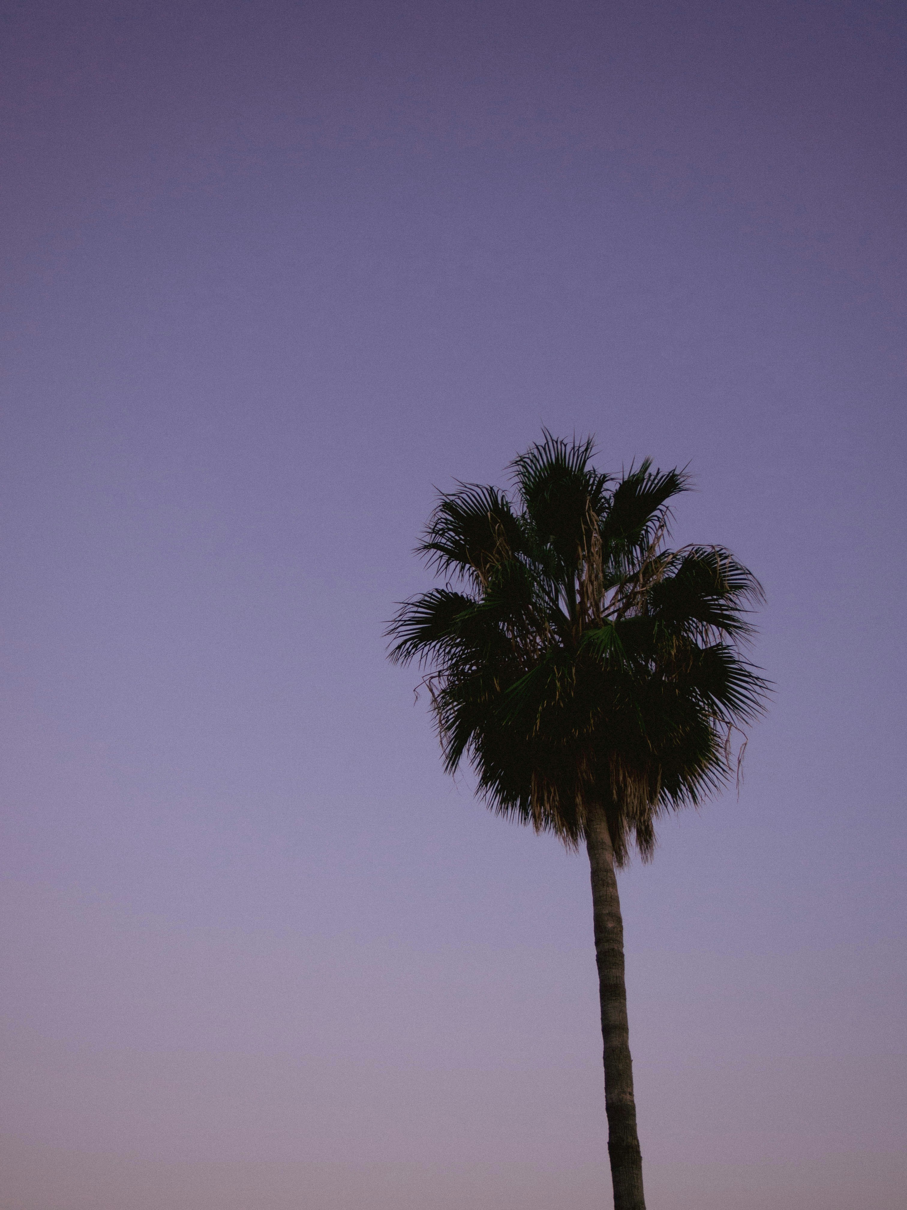 Photo by sonersimsek