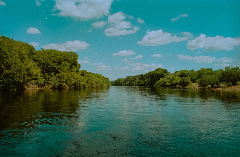 a body of water with trees around it