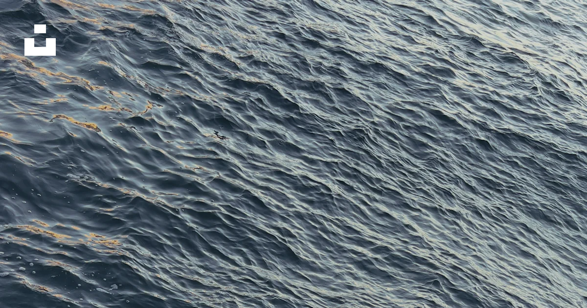 Fish Line Image A fishing line in the water photo – Free Water Image on Unsplash
