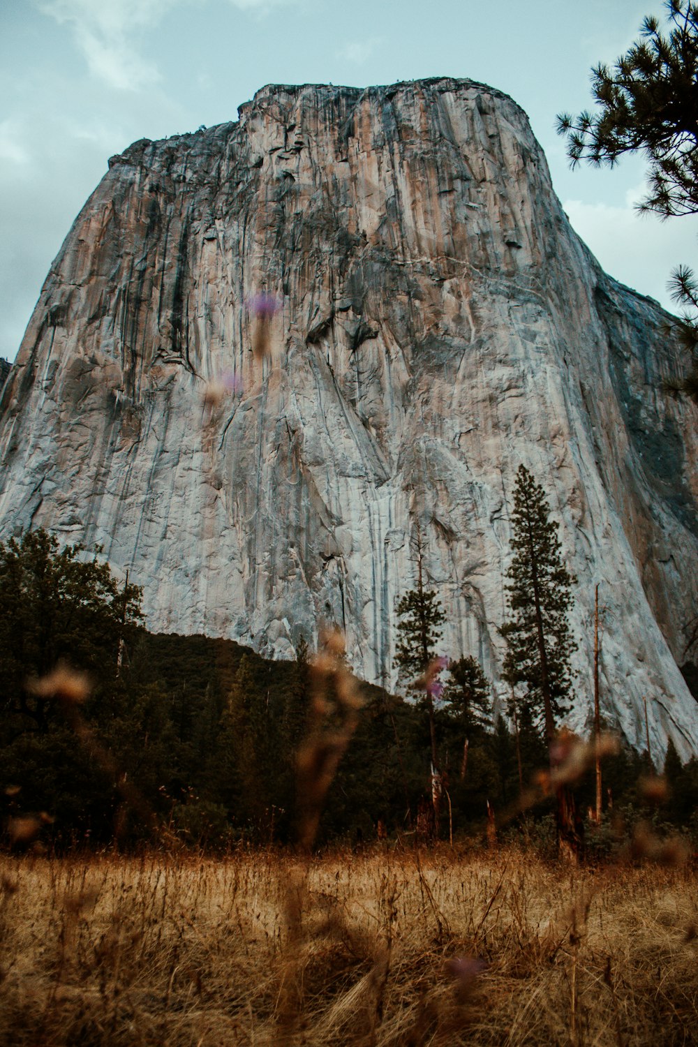 a large rock with trees around it