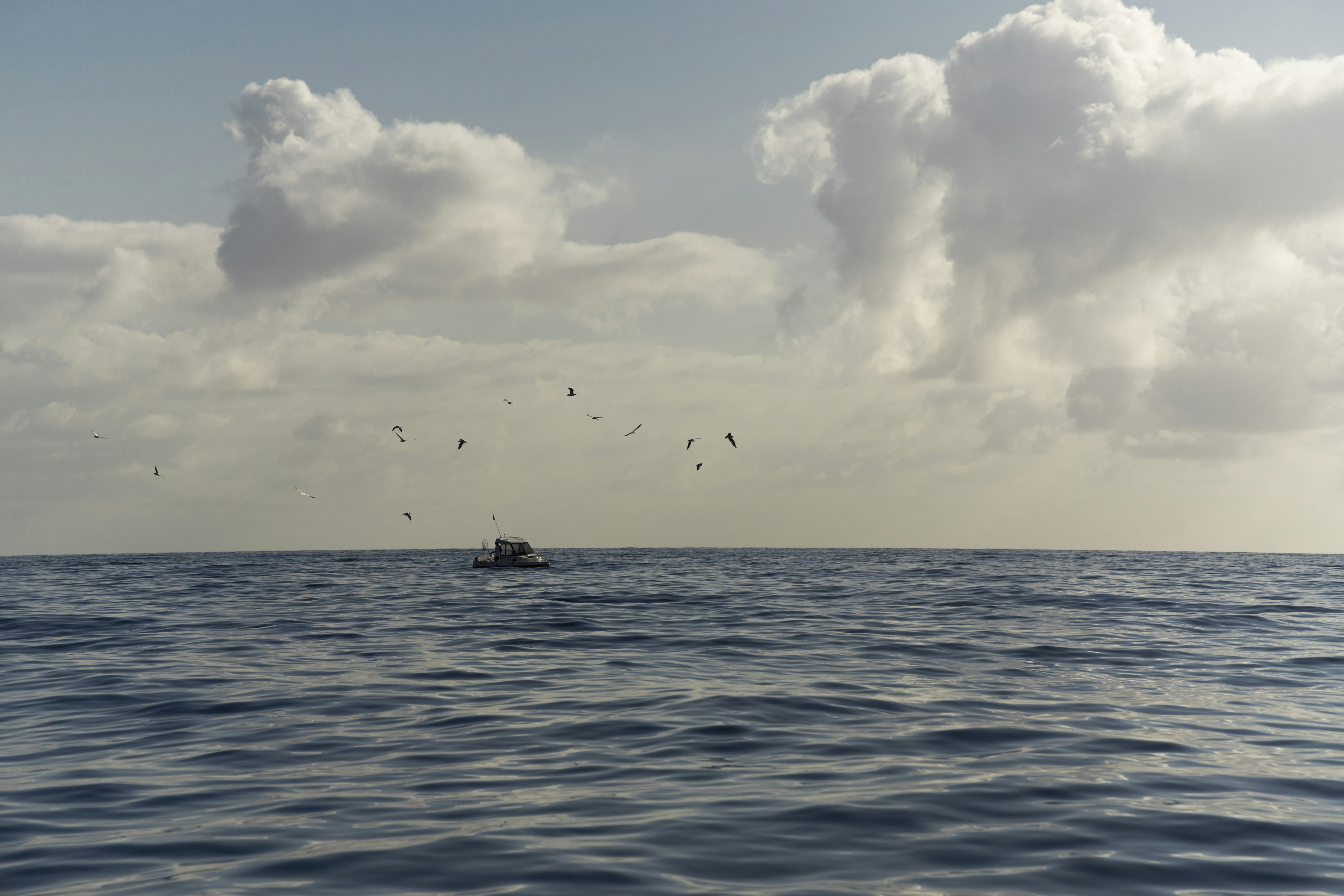 Landmark · a boat in the water with birds flying around