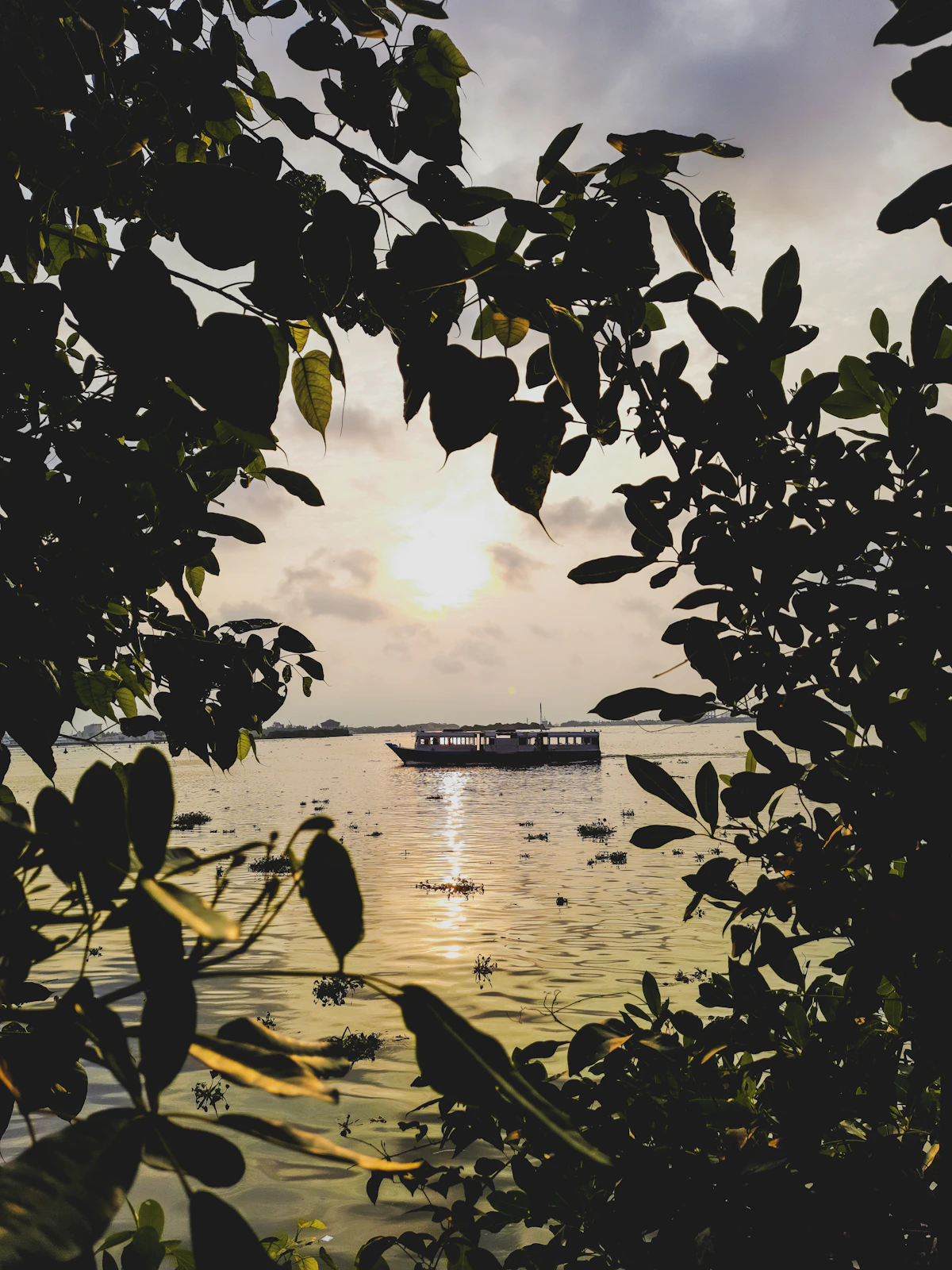 Waterfront residence in Kochi returned to full occupancy by RJ Estate