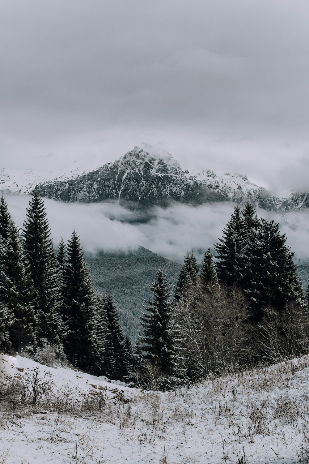 a snowy mountain with trees and fog