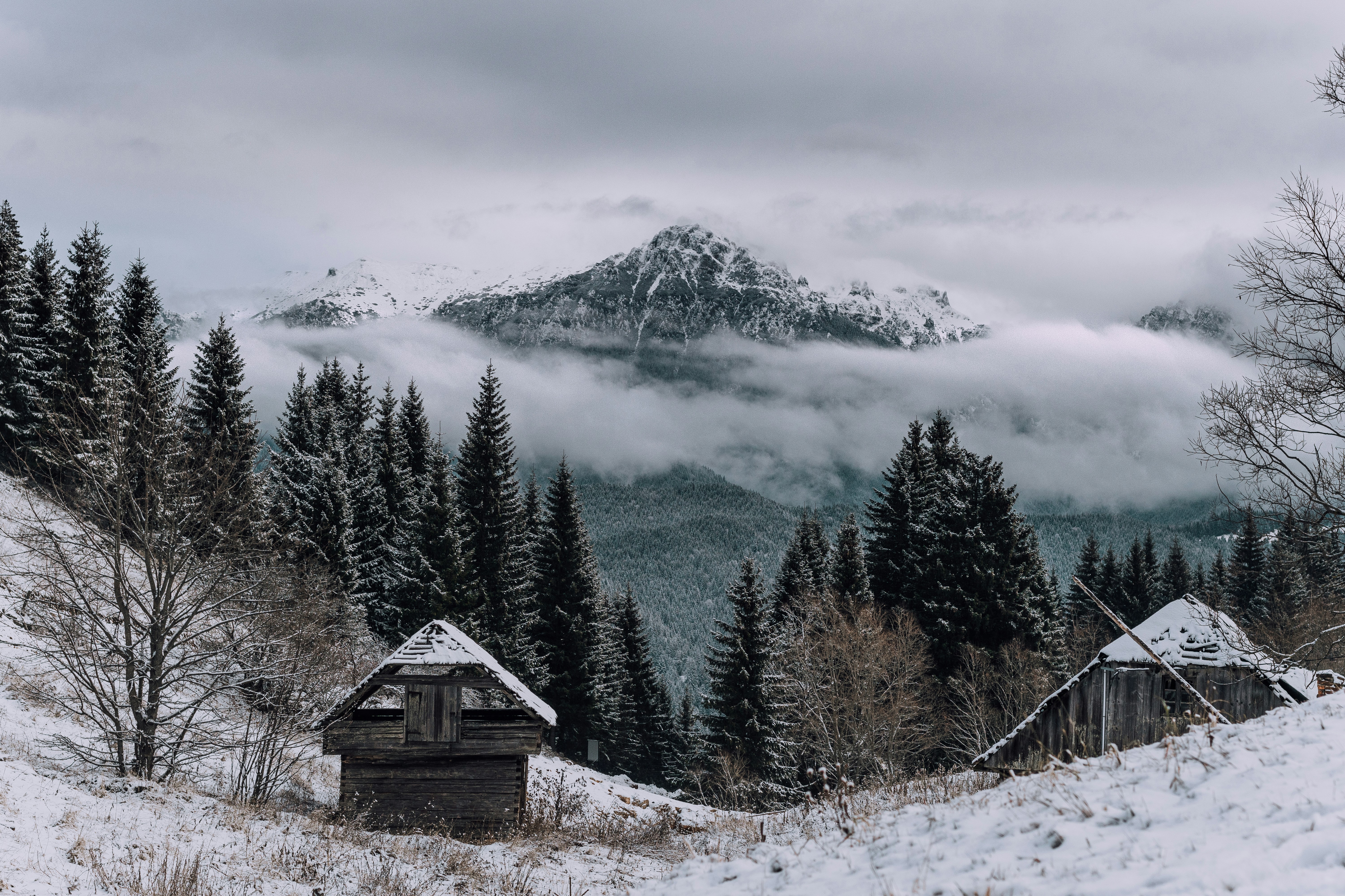 Un paesaggio innevato con alberi e un edificio con una montagna sullo sfondo
