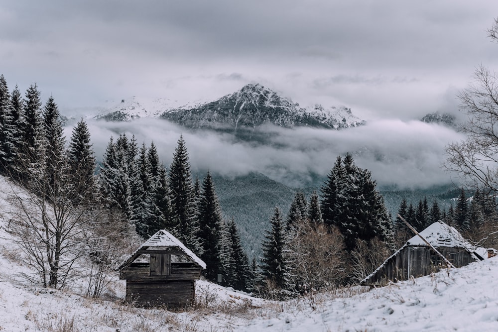 a snowy landscape with trees and a building with a mountain in the background