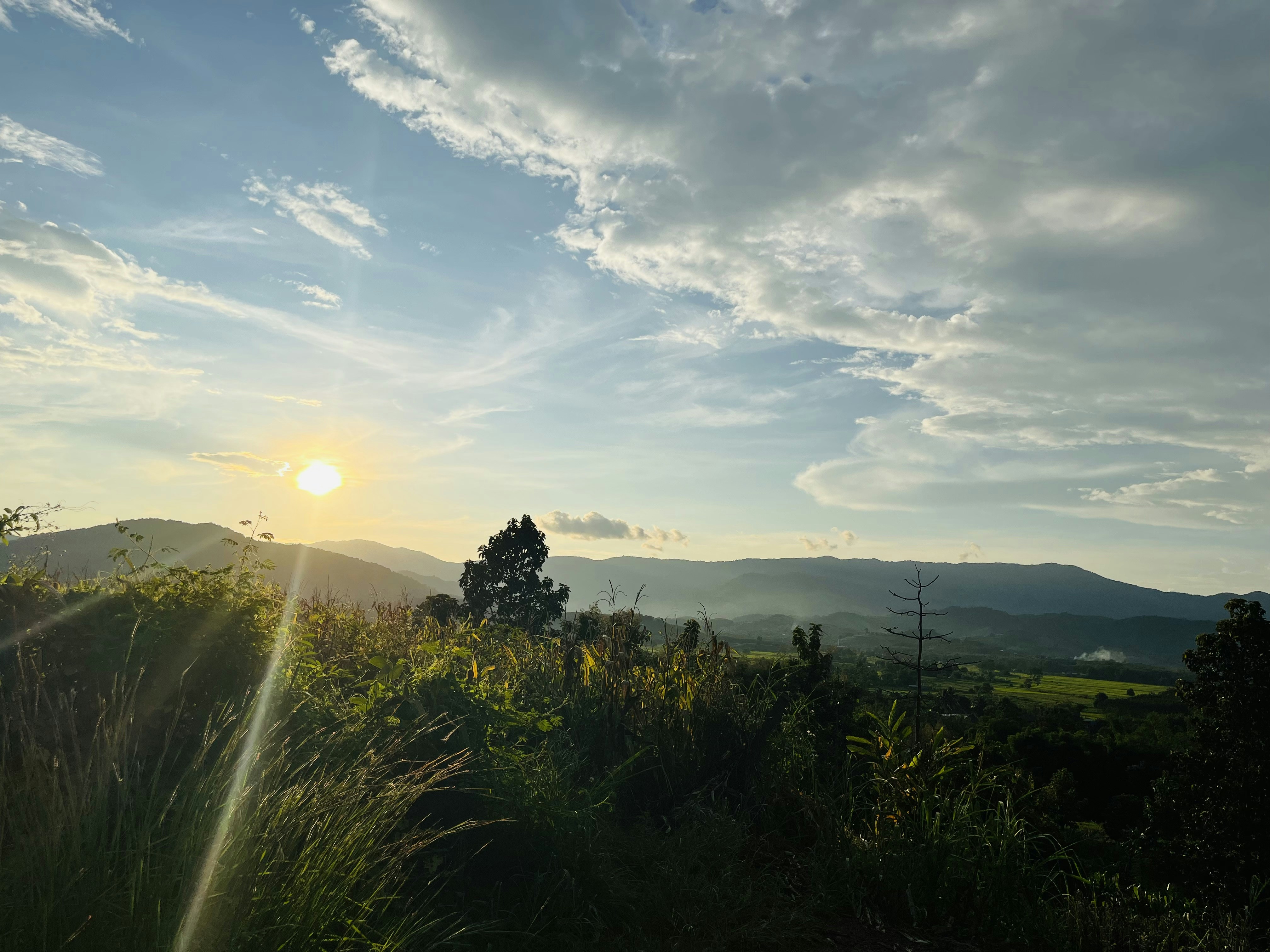 Photo by areyoubeewhy