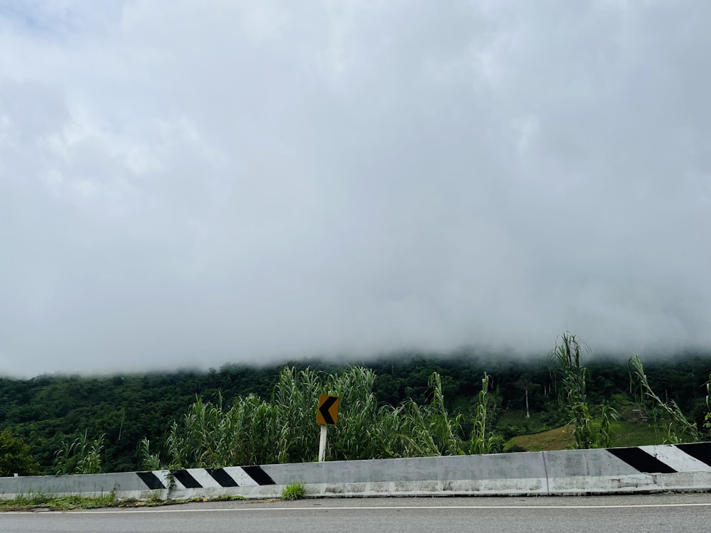 a road with a sign on it and trees in the back