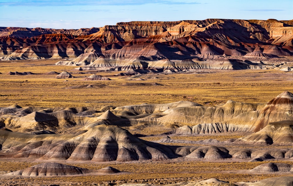 a rocky desert landscape