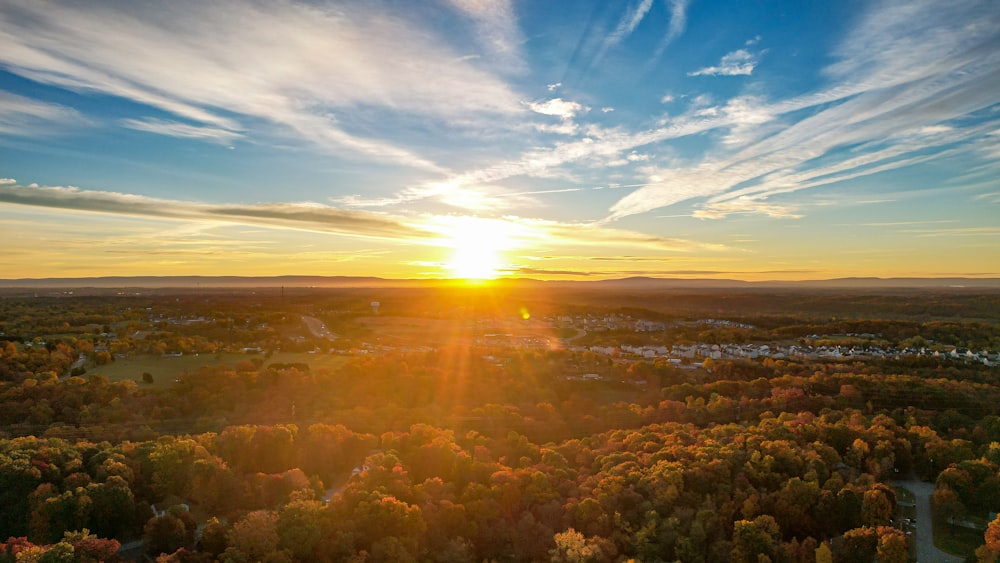 a landscape with trees and a body of water with the sun in the background