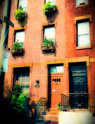 a brick building with windows and plants on the windows