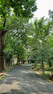 A paved pathway leads through a lush green forest area with dense trees lining both sides. In the background, small buildings are partially visible among the foliage, suggesting a peaceful, secluded community setting.