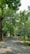 A paved pathway leads through a lush green forest area with dense trees lining both sides. In the background, small buildings are partially visible among the foliage, suggesting a peaceful, secluded community setting.