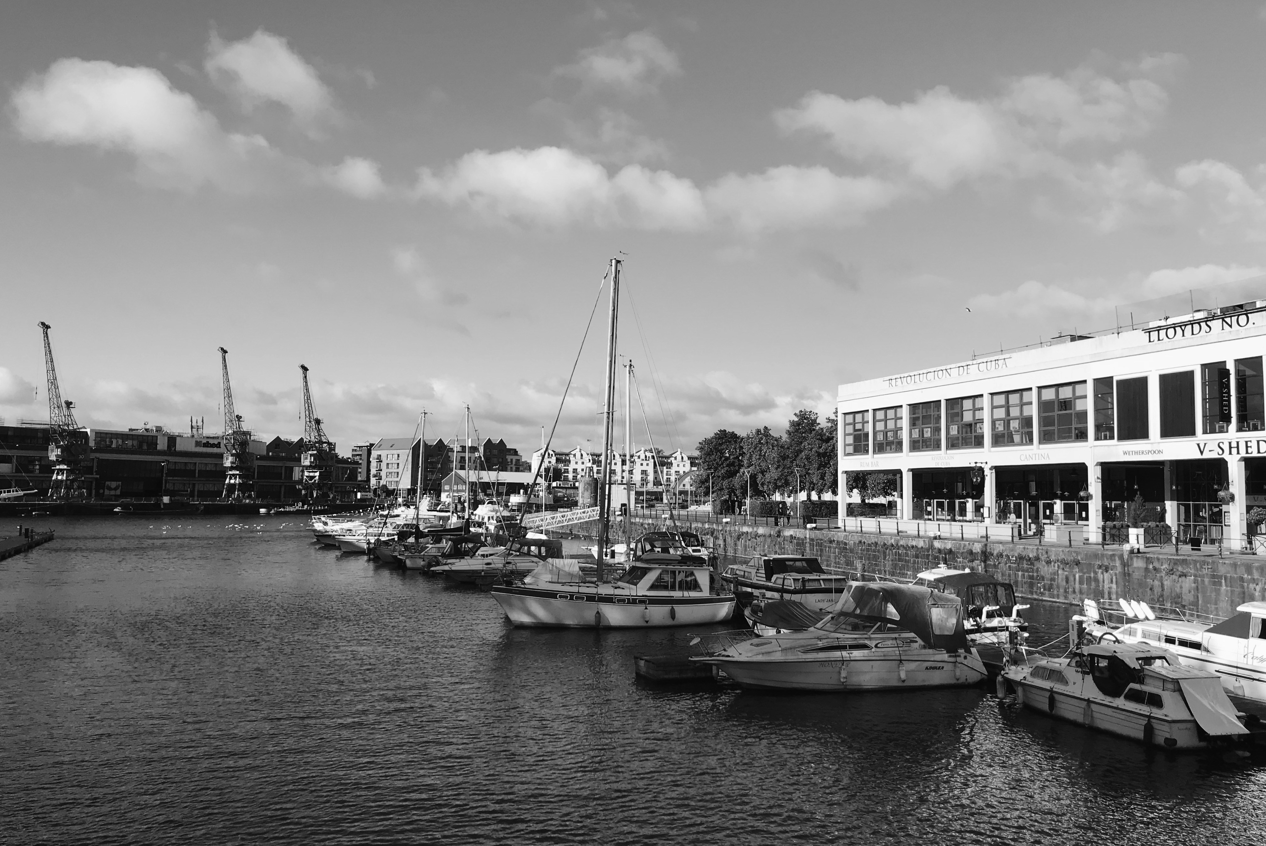 Photo by laurauraura