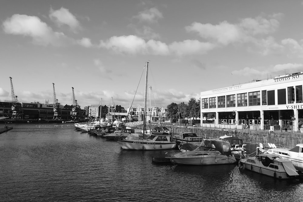 a group of boats sit in a harbor