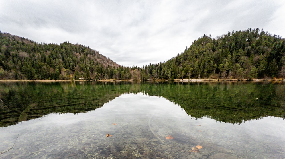 a lake with trees and mountains in the background