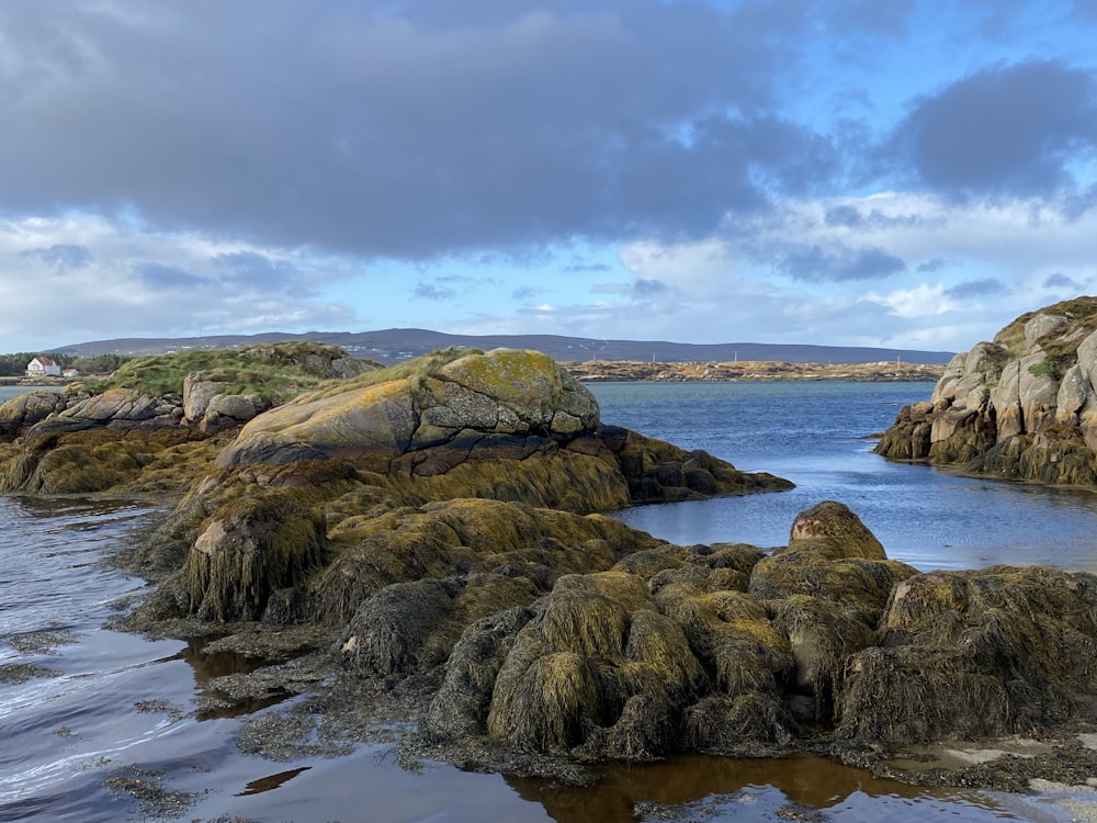 a rocky beach with a body of water in the background