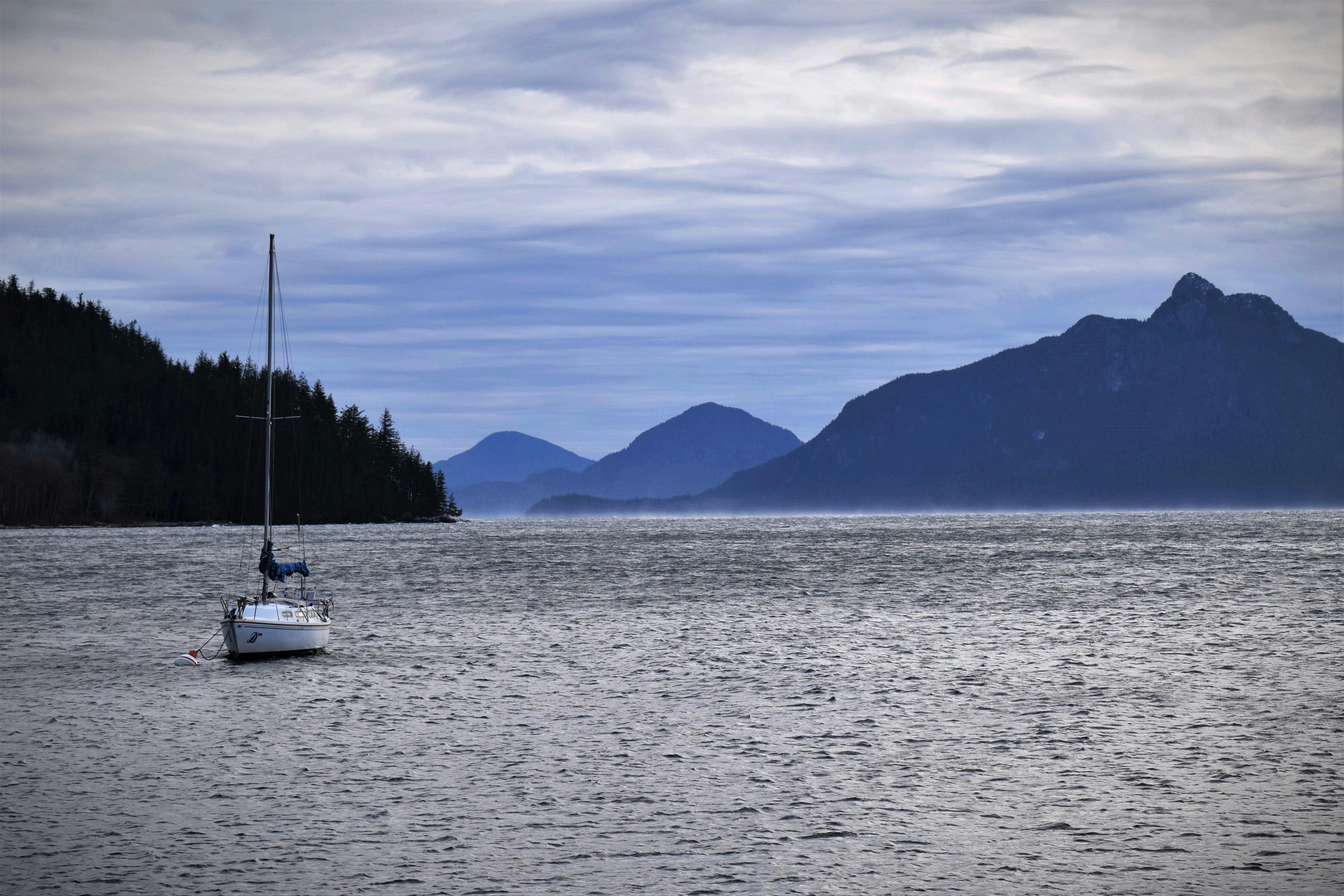 Photo by suncrest_photographer