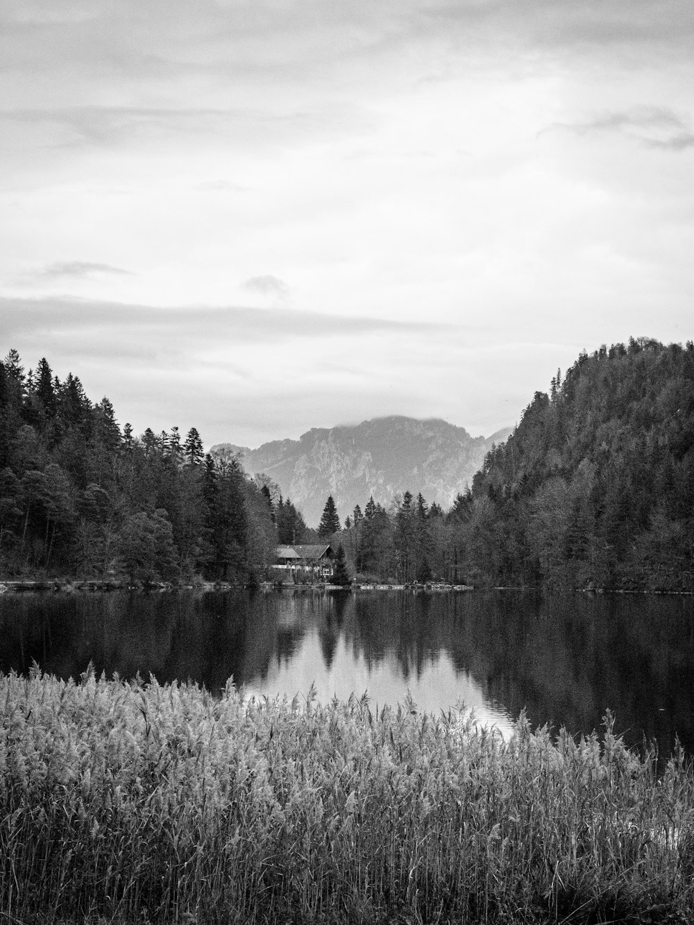 um lago com árvores e montanhas ao fundo