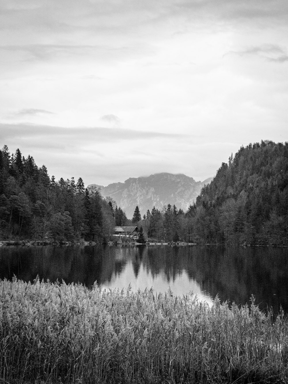 a lake with trees and mountains in the background