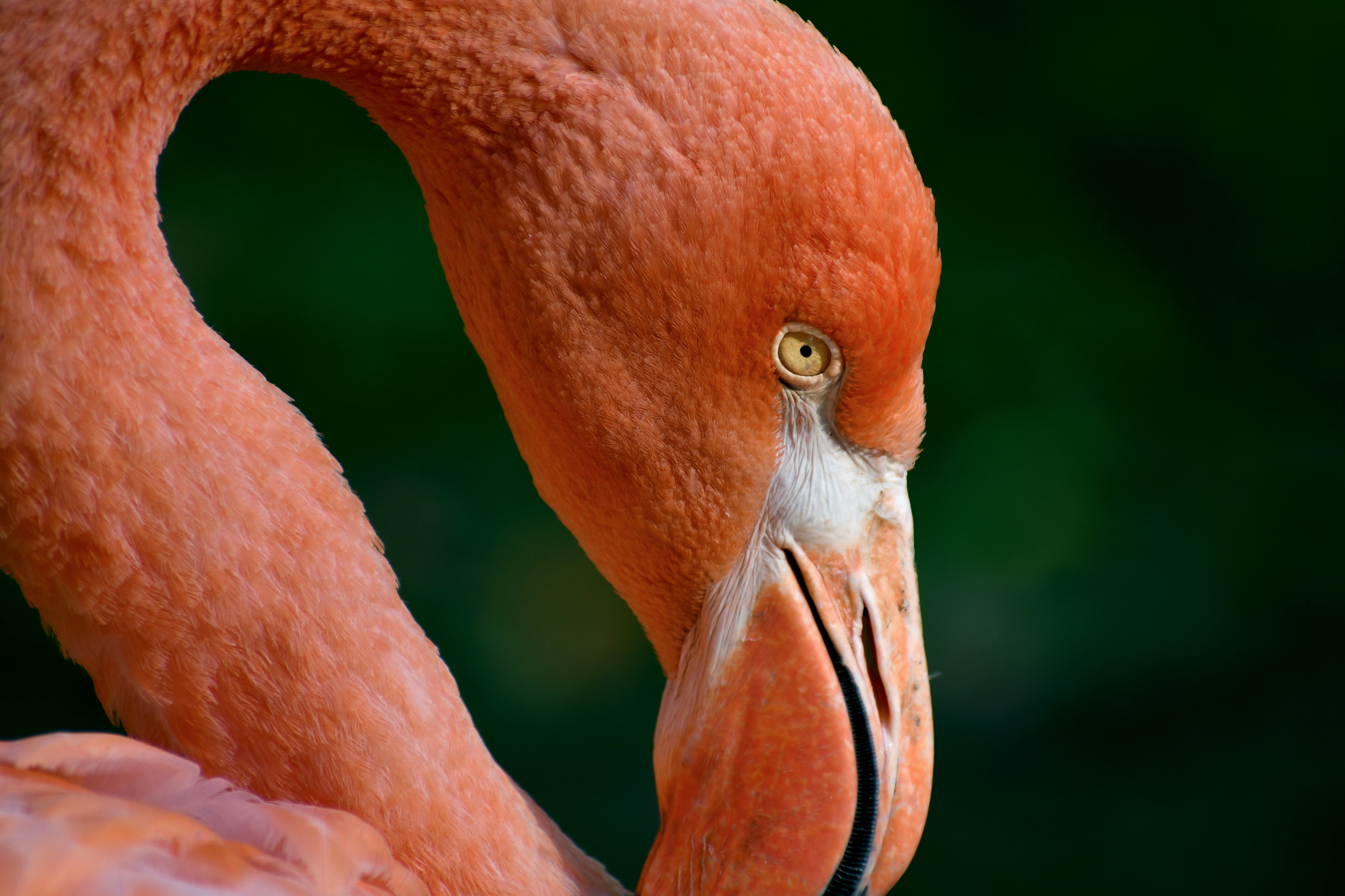 Photo by suncrest_photographer