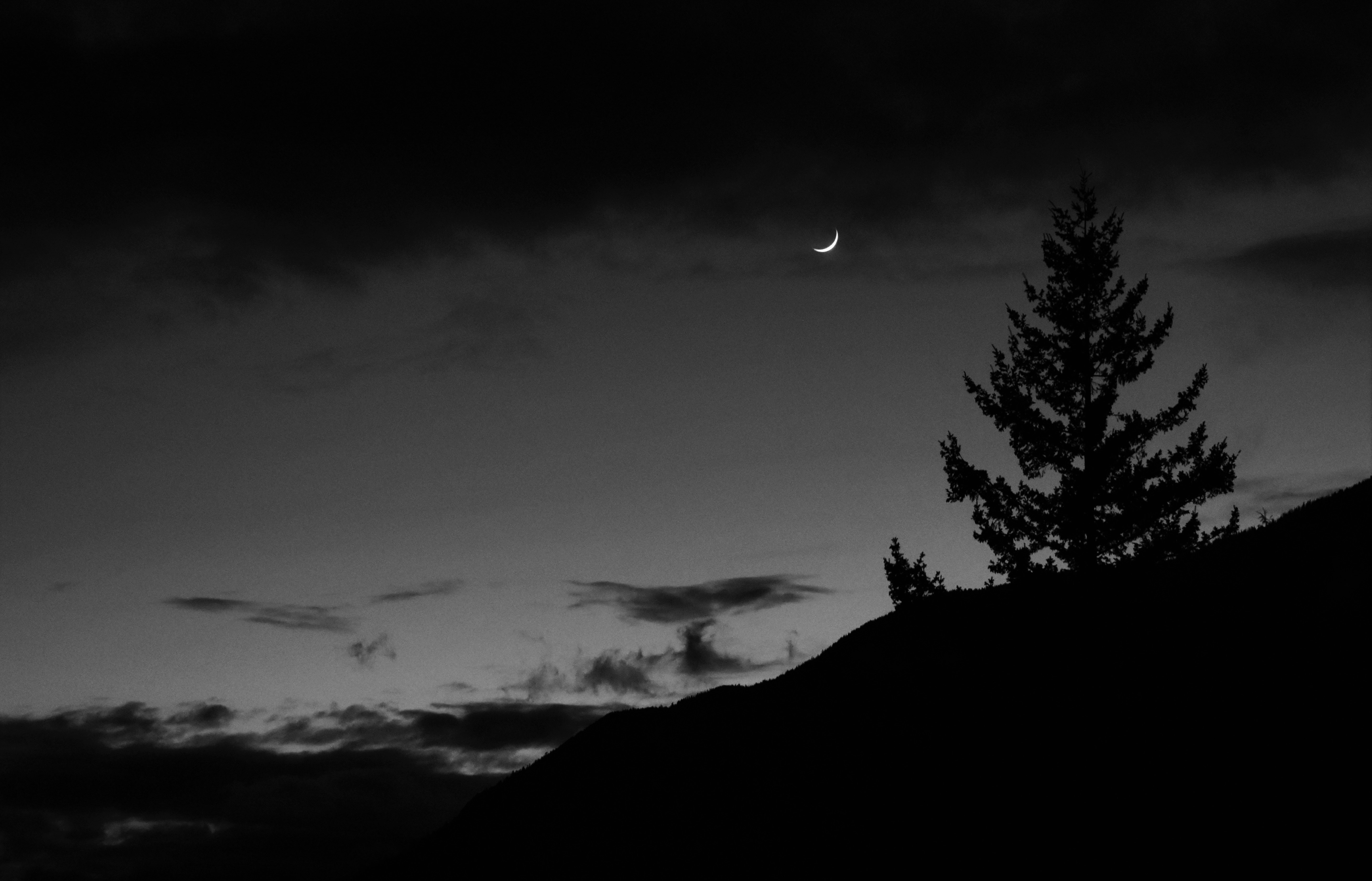 Photo by suncrest_photographer