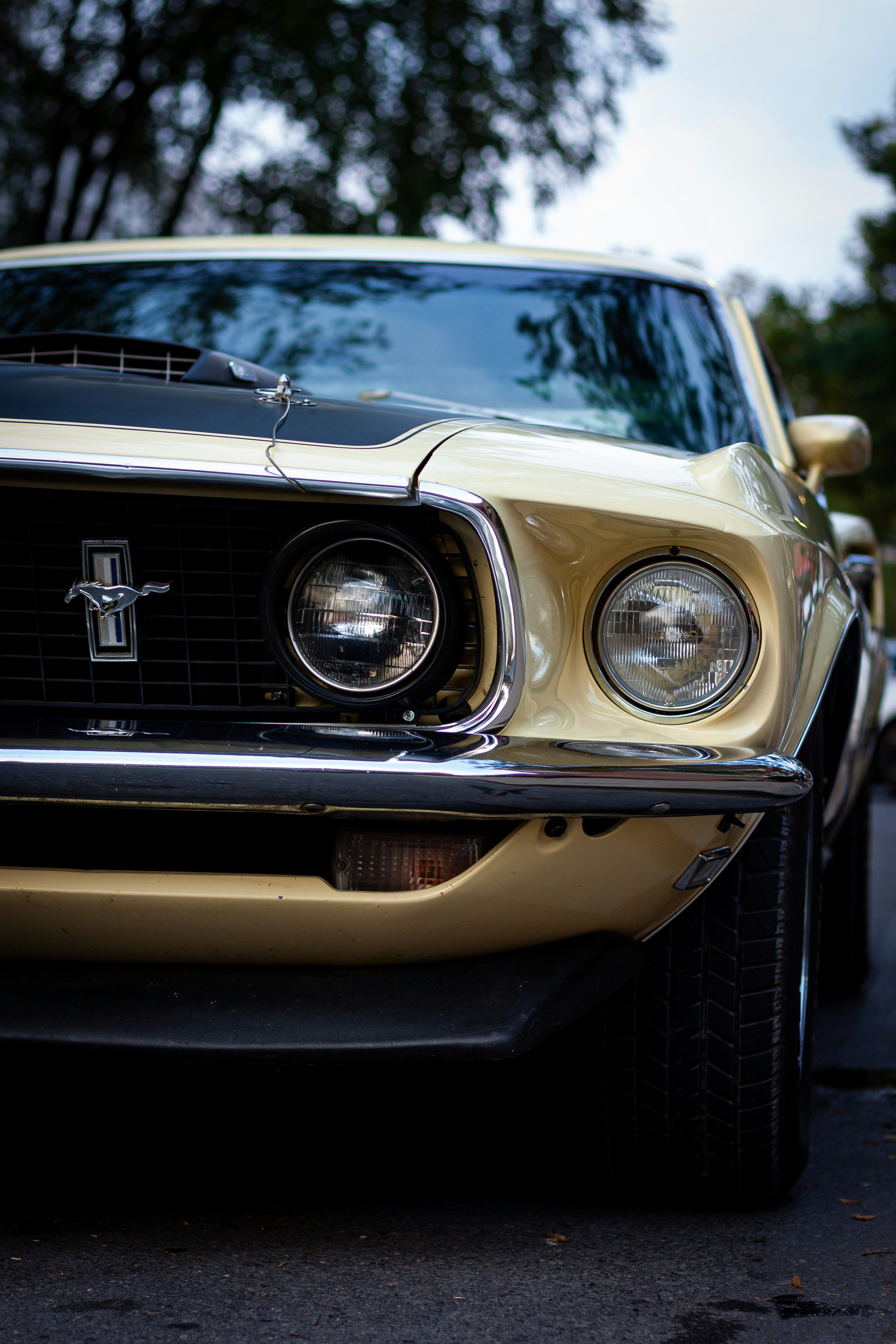 Photo by rudytanugula